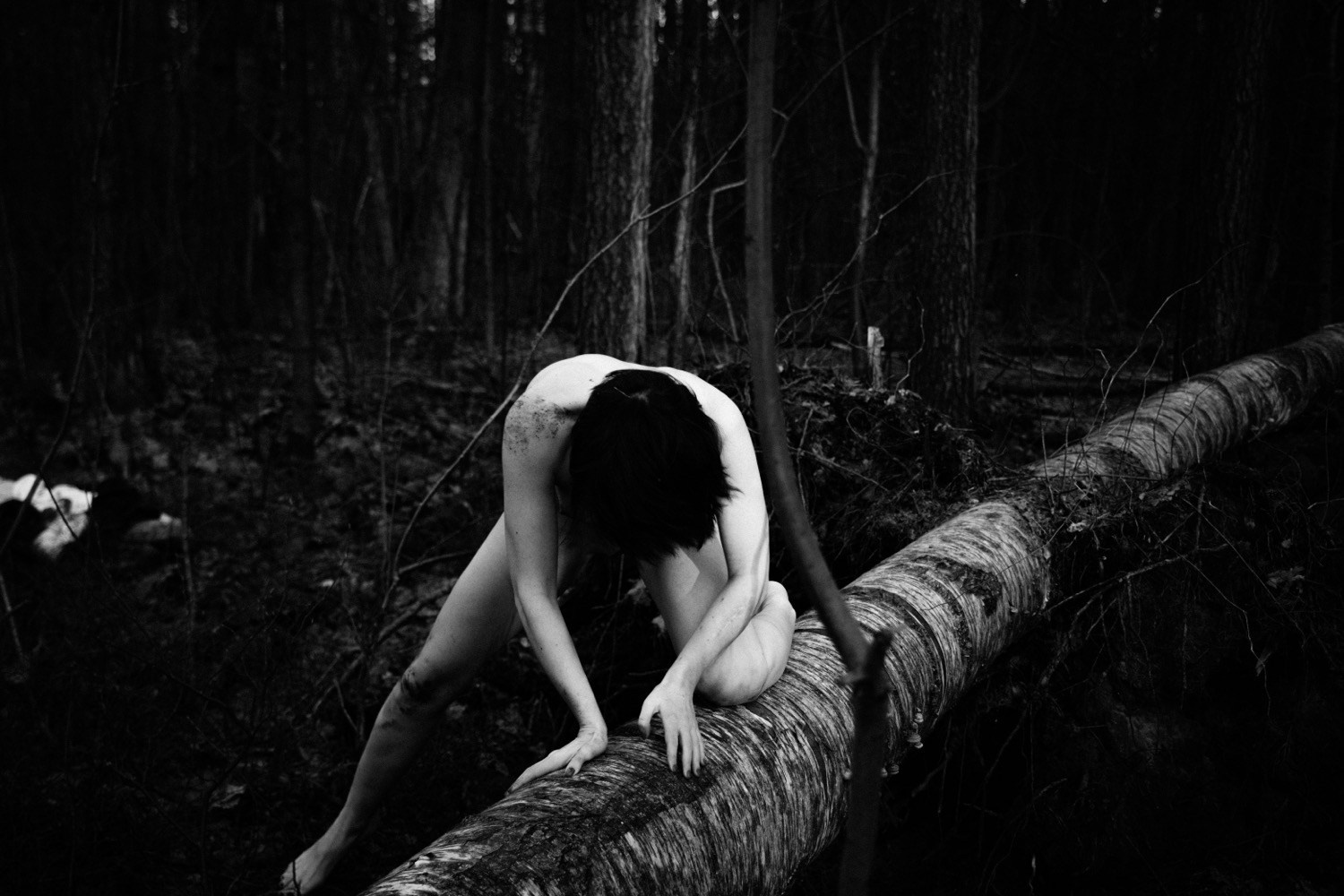 Wandering. ✨misha khazov • photography • performance