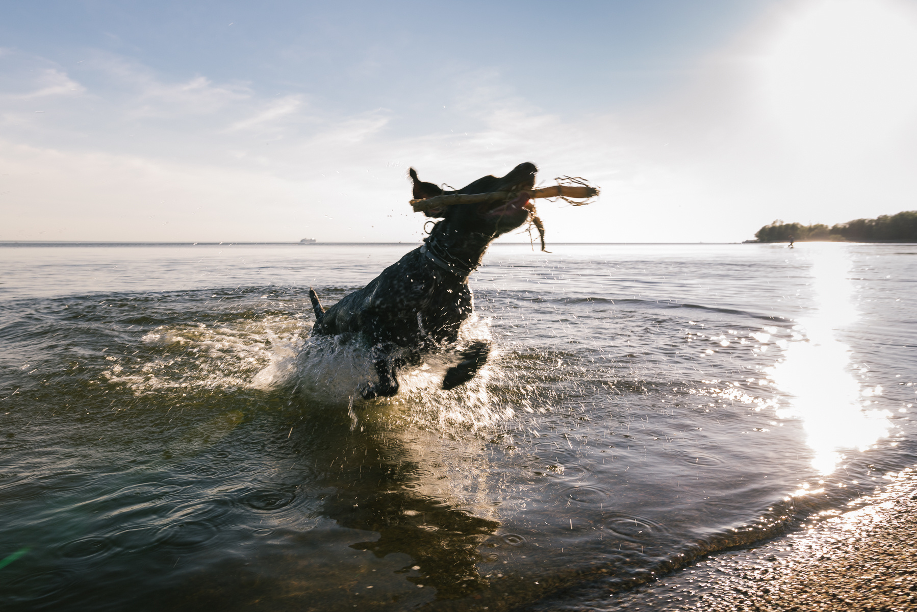 Семейный и детский фотограф в Санкт-Петербурге Марина Сергеева