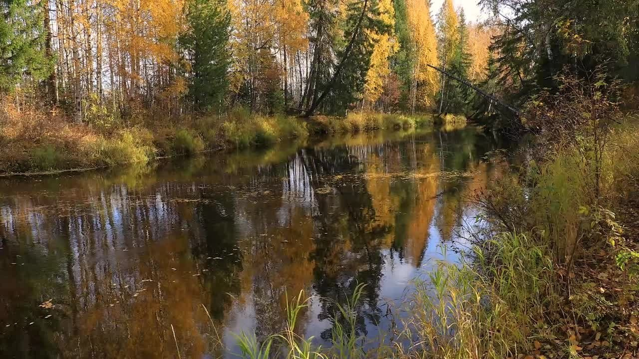Видео. Фотограф Татьяна Борисова