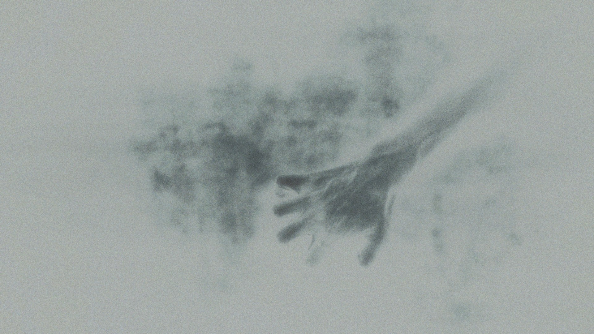 SERENITY. Timeless Art