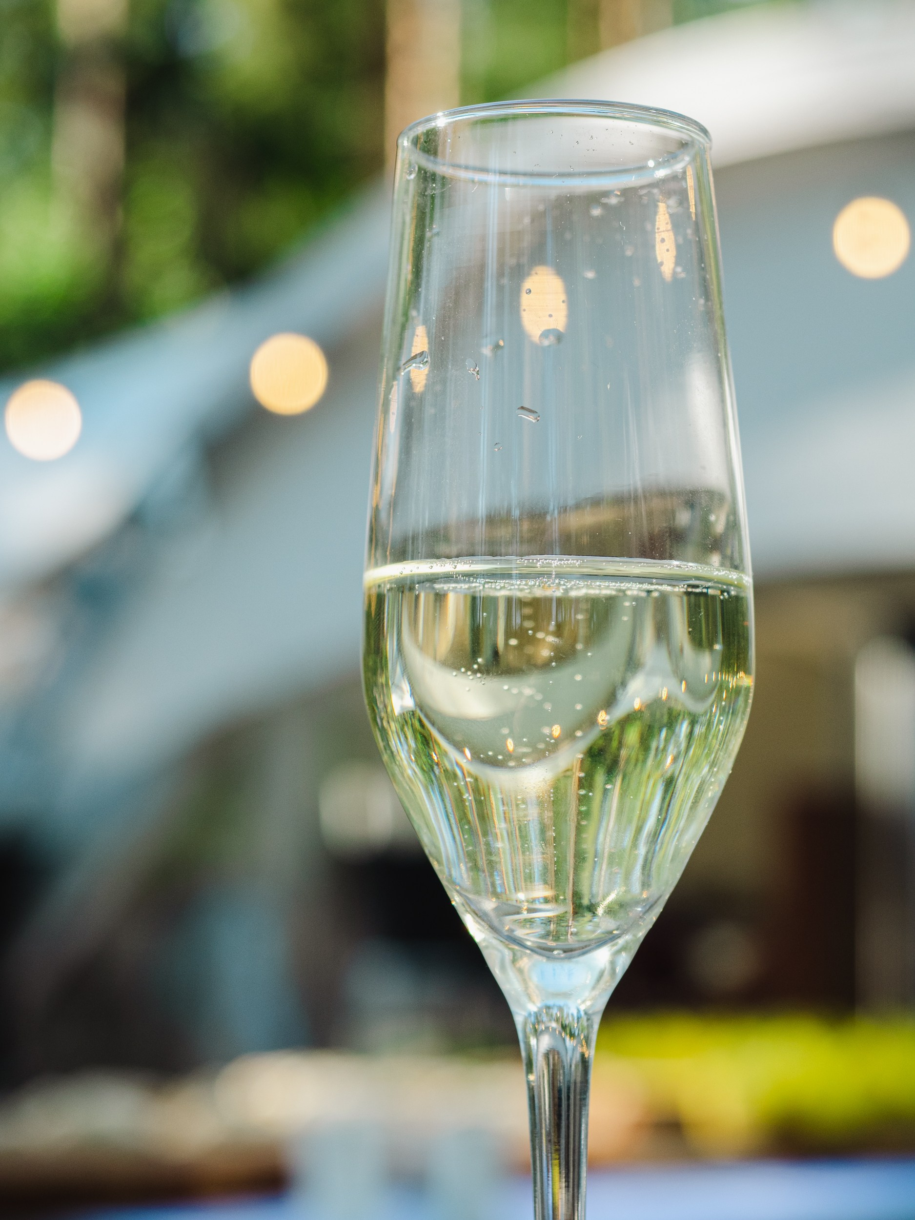 Отзывы. Репортажный и портретный фотограф в Санкт-Петербурге Василина Жук