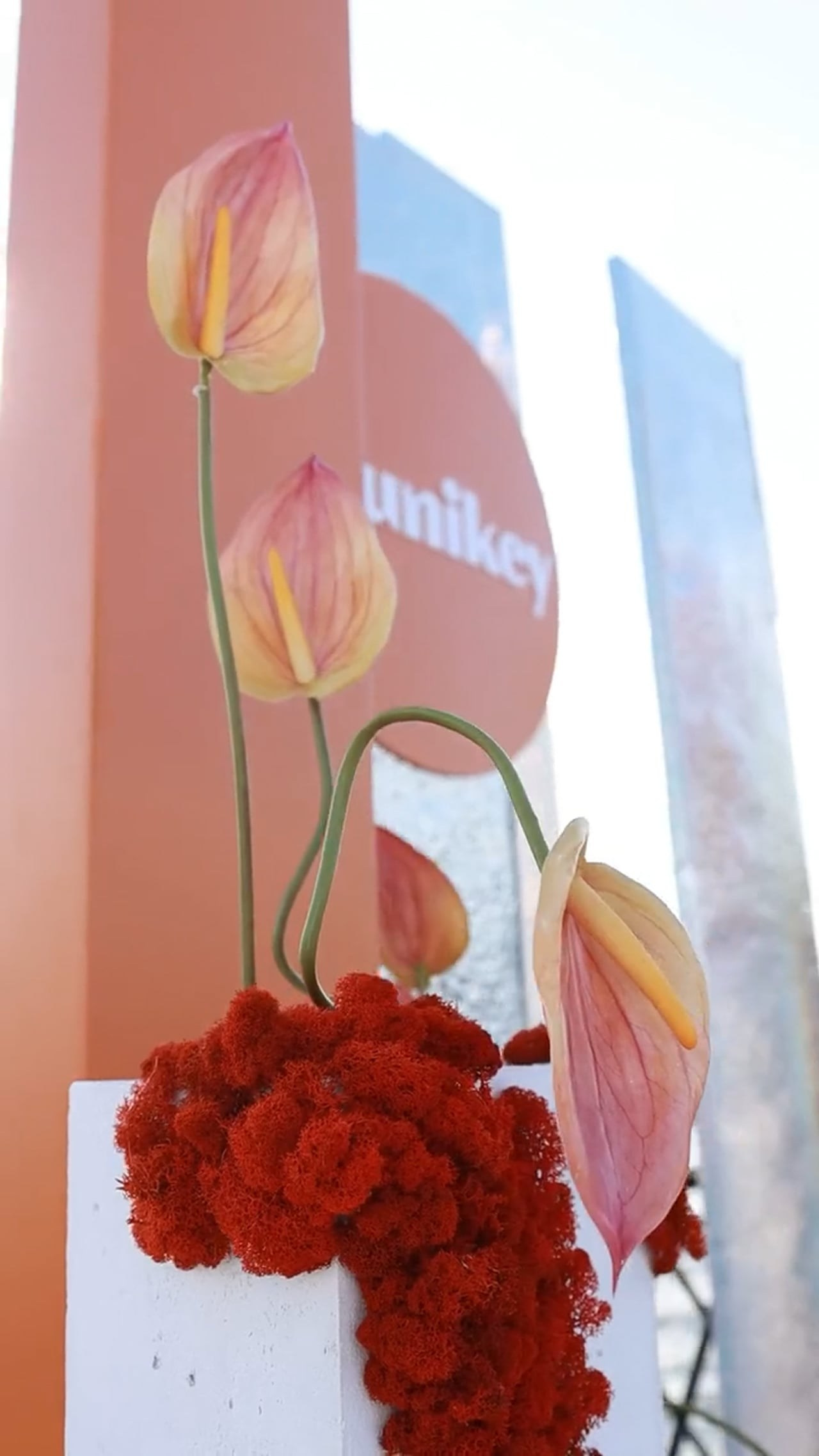 Corporate Reels. Фото и видео съемка для социальных сетей в Казани