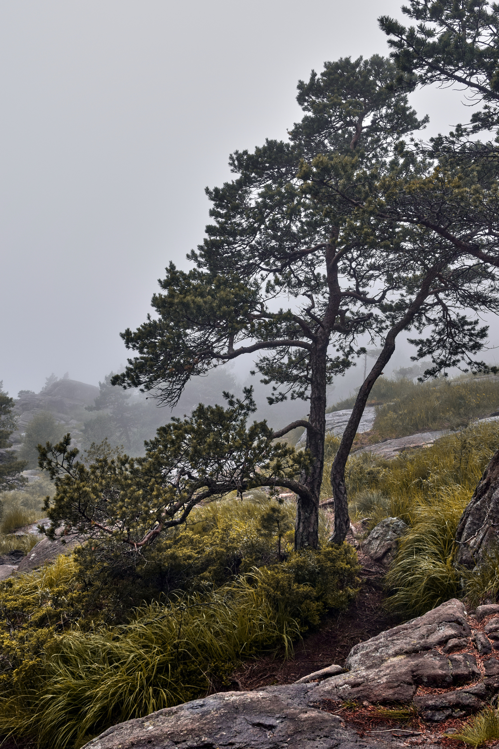Цвет. Unposed Society Moscow | Фотограф Аникин Станислав