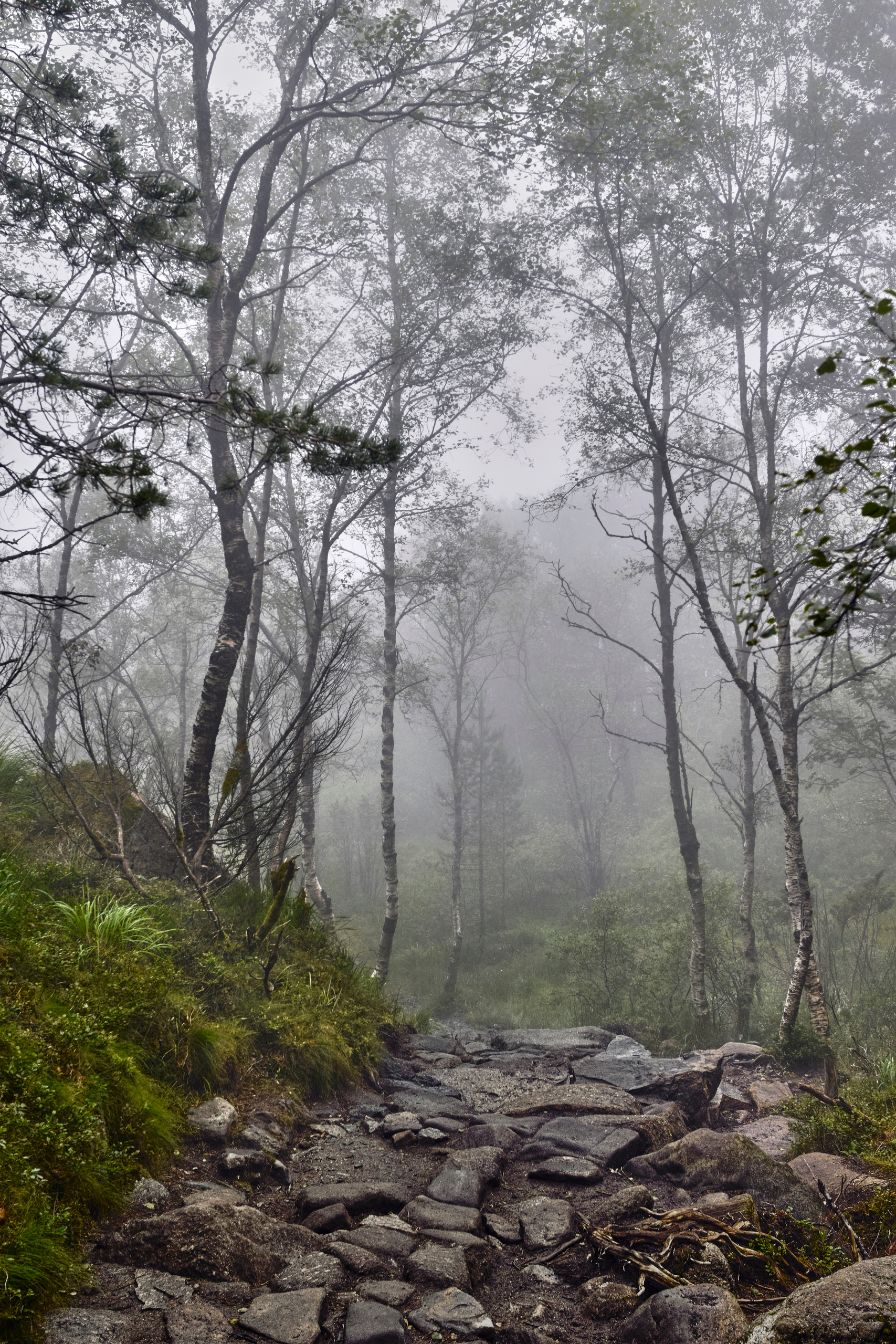 Цвет. Unposed Society Moscow | Фотограф Аникин Станислав