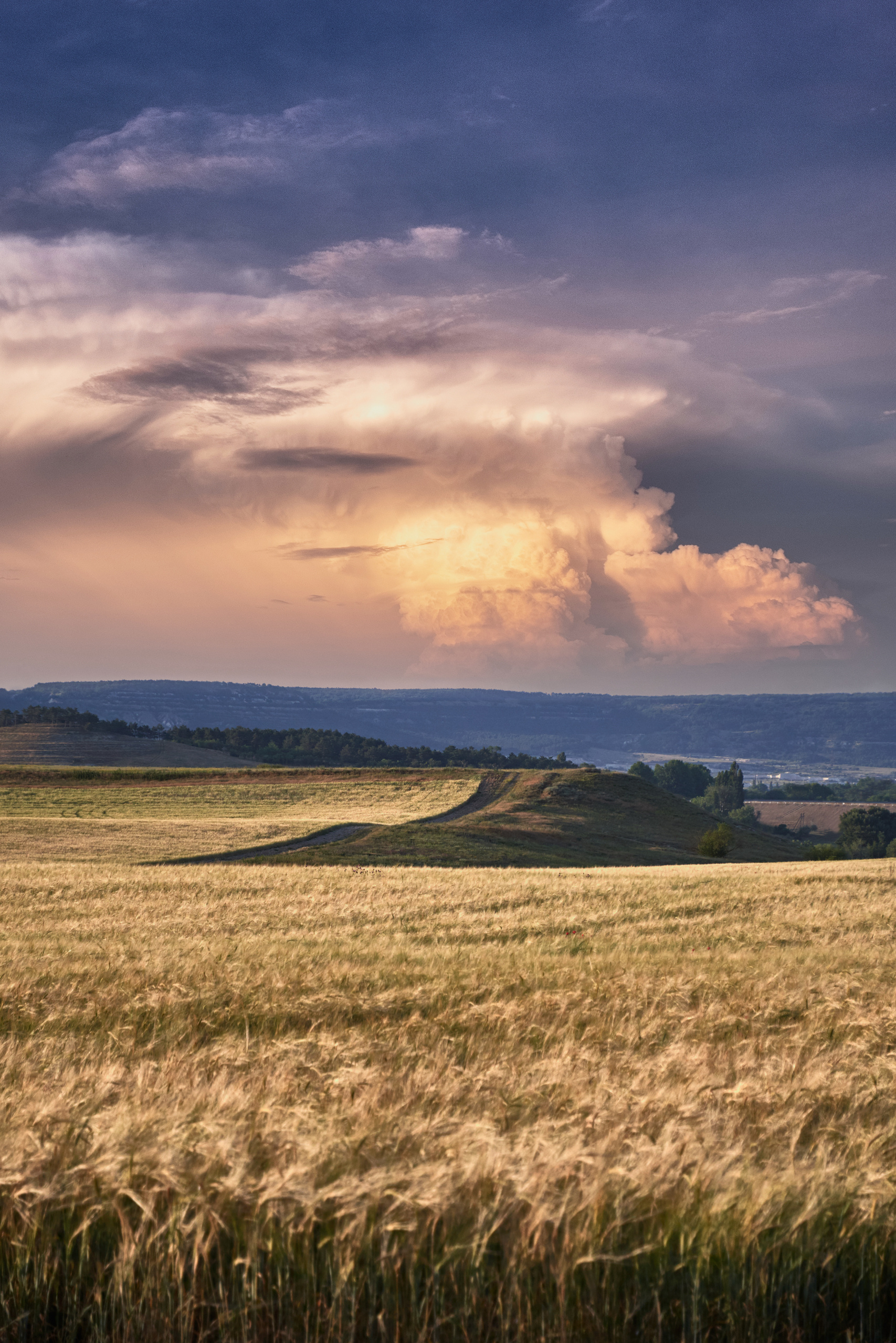 Цвет. Unposed Society Moscow | Фотограф Аникин Станислав