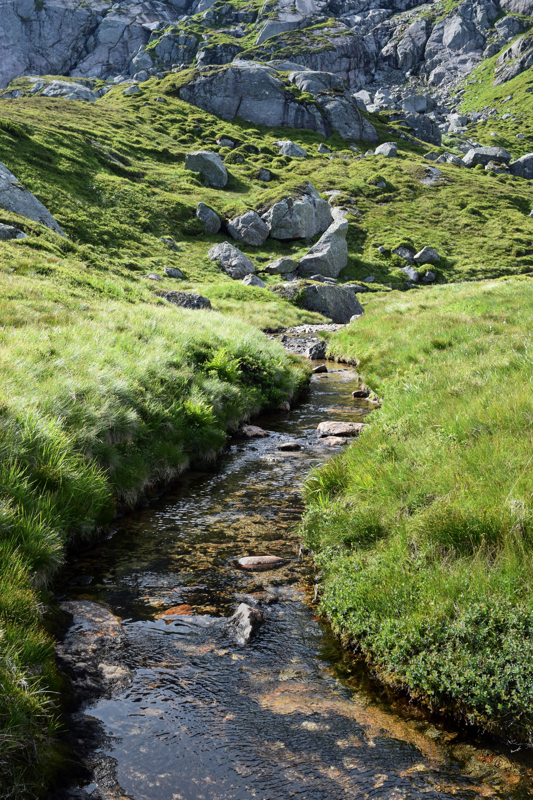 Цвет. Unposed Society Moscow | Фотограф Аникин Станислав