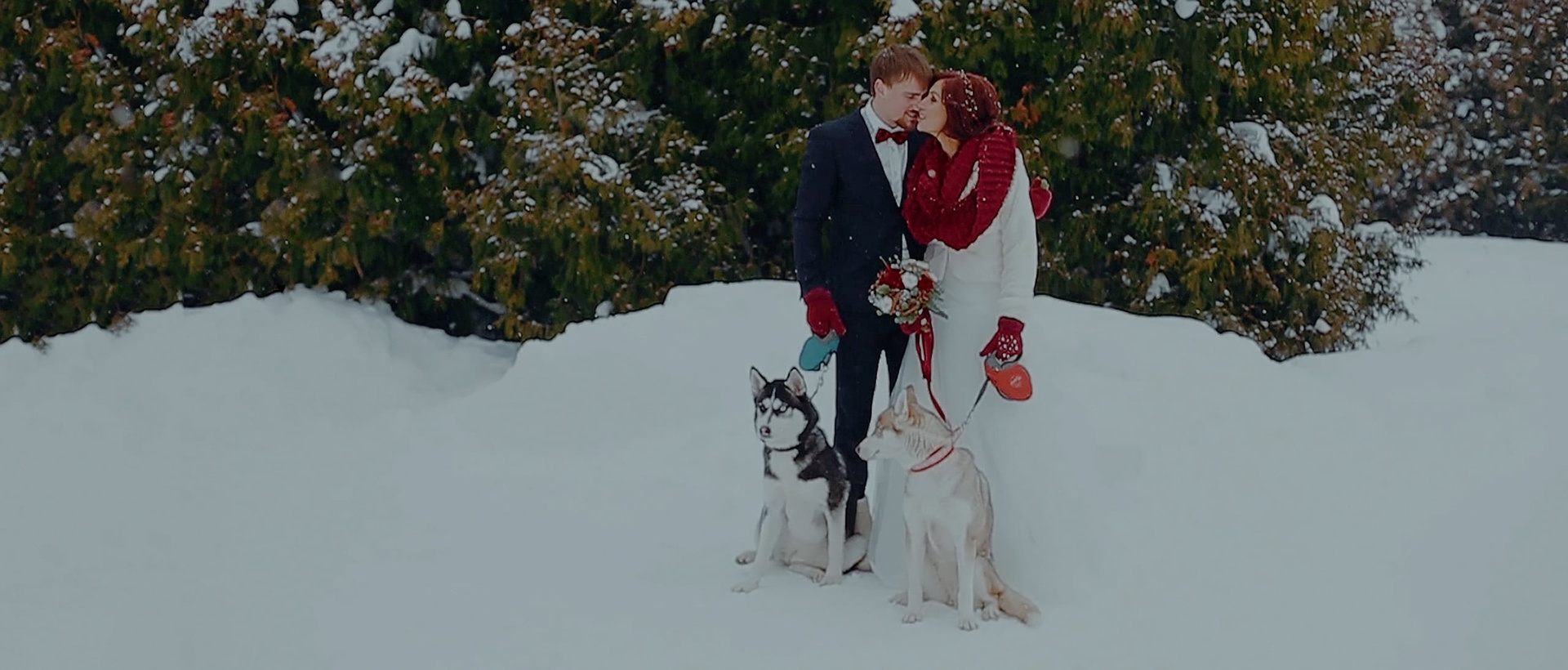 Видеограф Леонов. Подрядчики и друзья сети свадебных площадок House for wedding