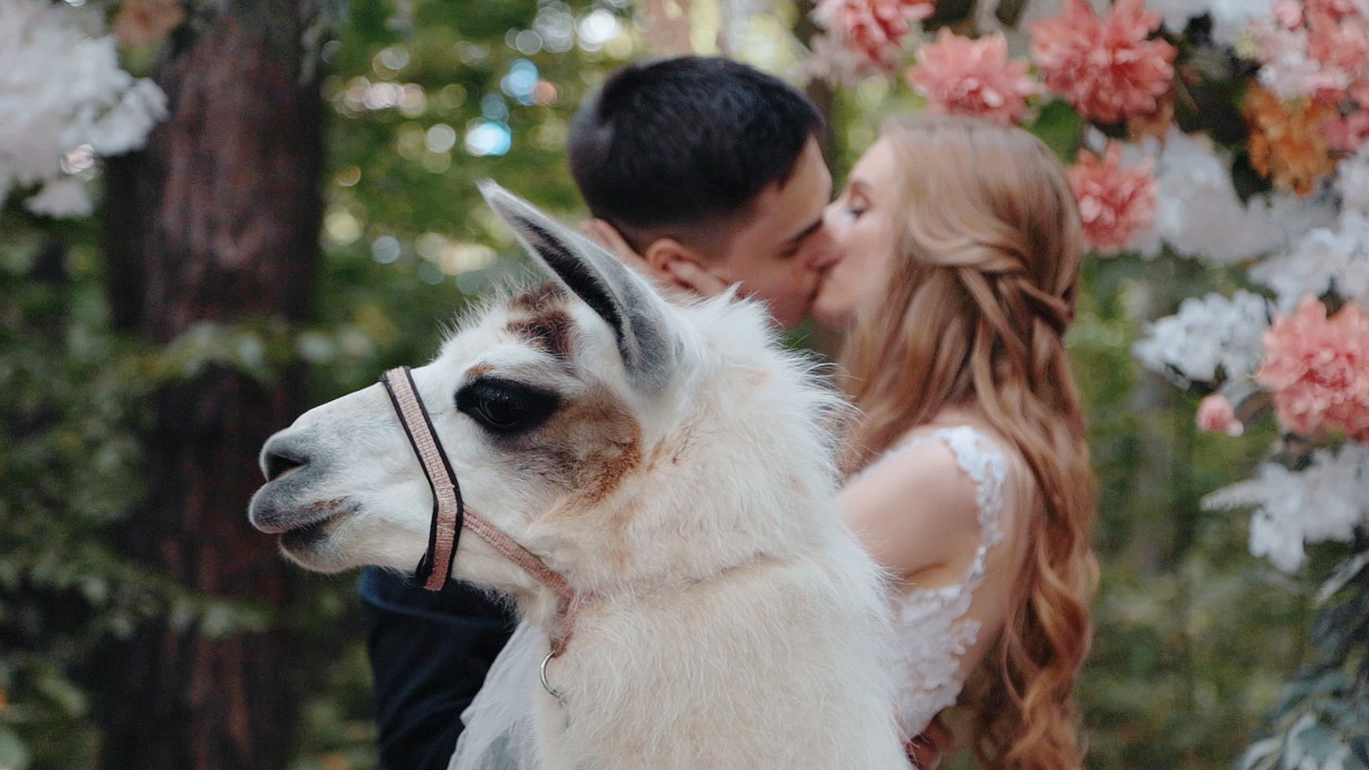 Видеограф Леонов. Подрядчики и друзья сети свадебных площадок House for wedding