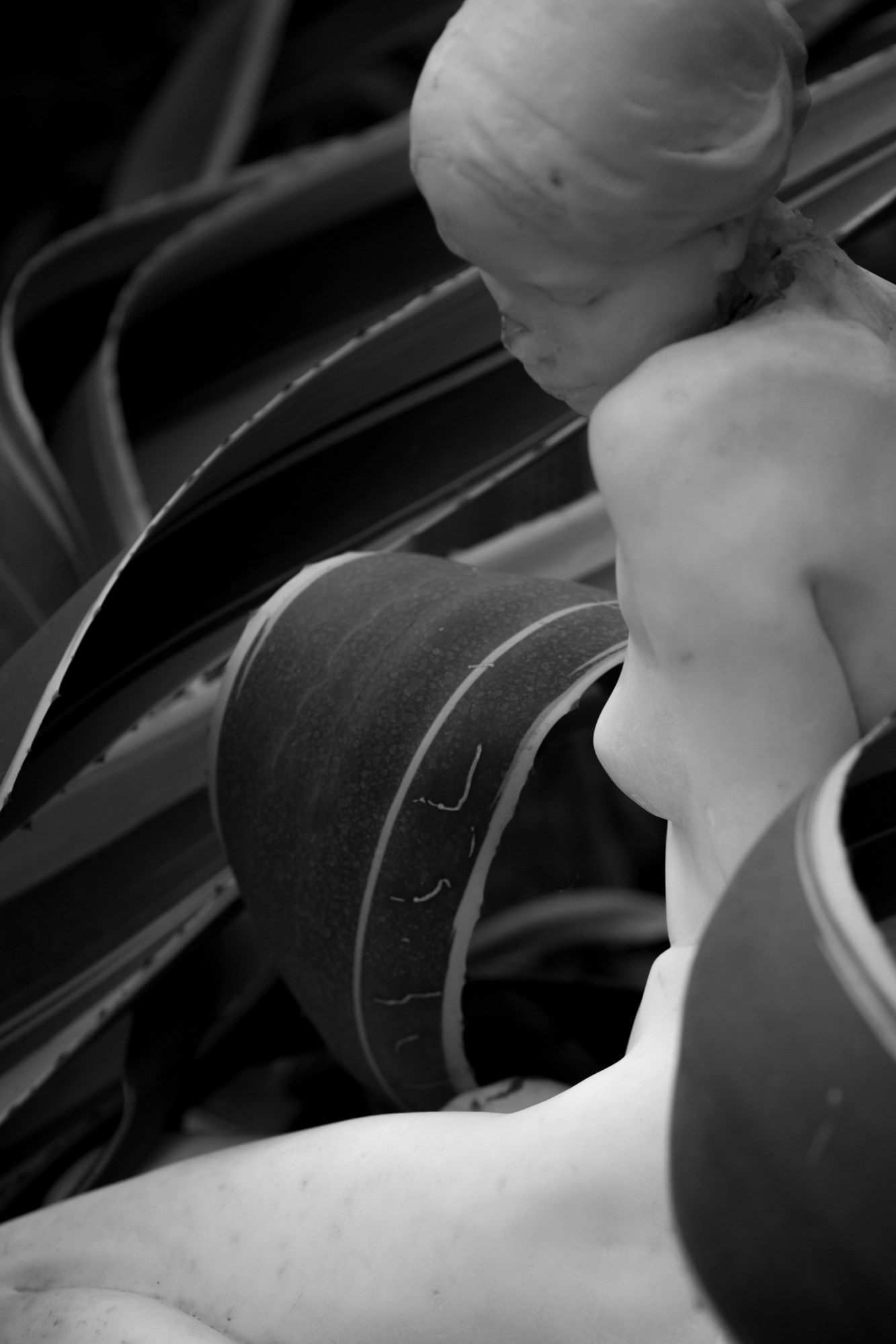 Art Series. Елена Цихон художник фотографии и мастер фото-ДНК