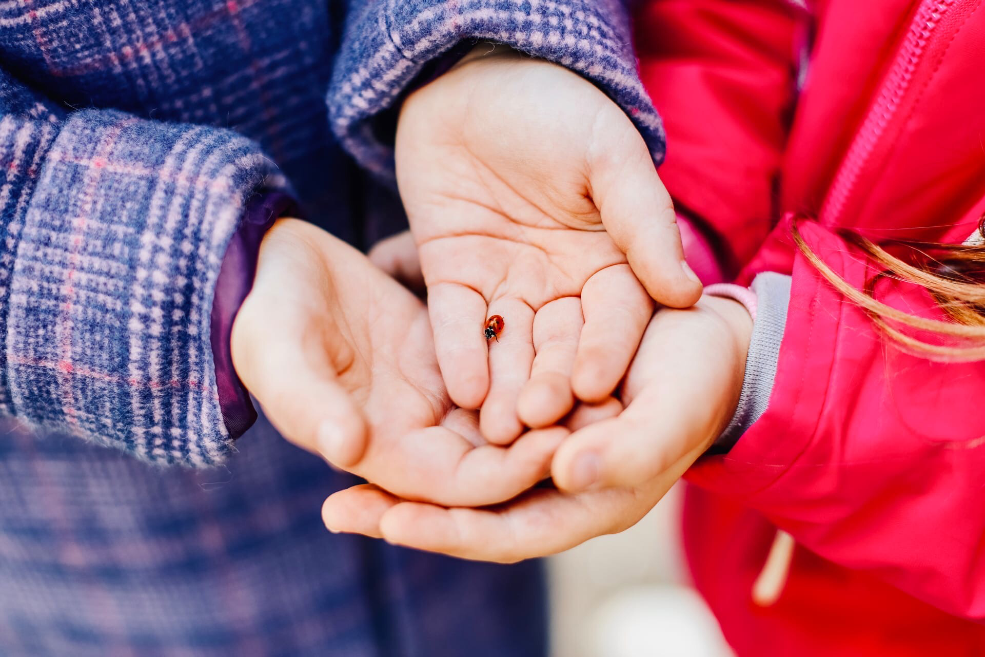 Фотограф беременности и семейных историй Эльвира Акарибе в городе Краснодар!