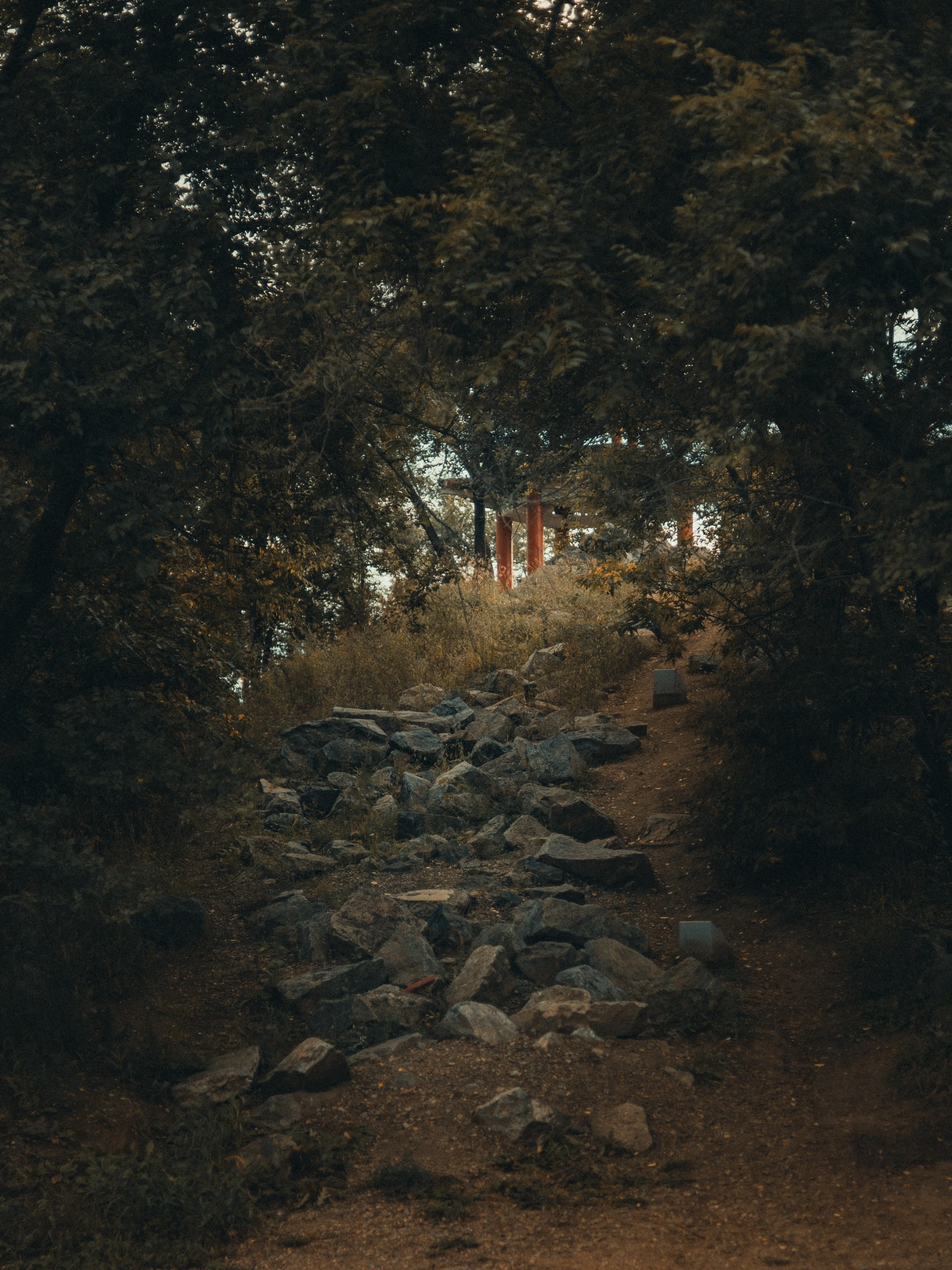 Фотограф Антон Долгополов