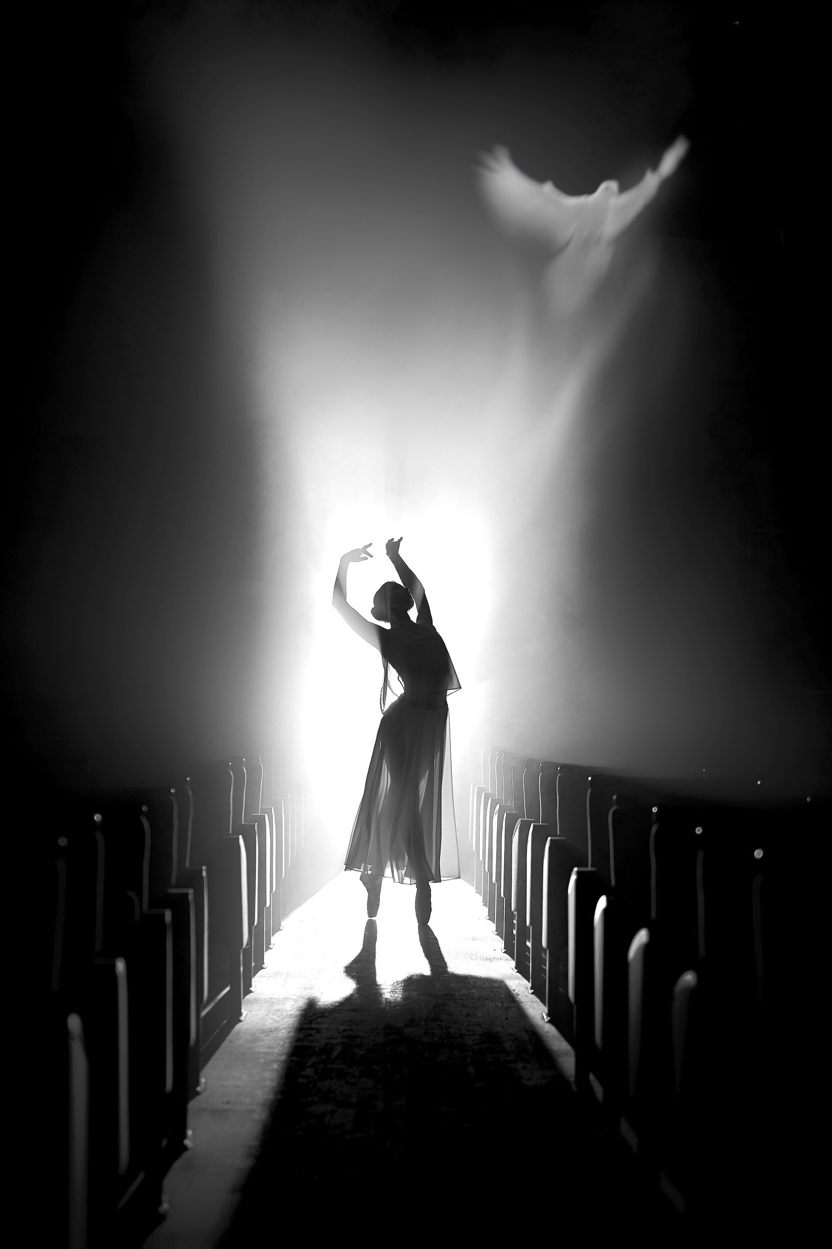 Фотопроекты и съемки на природе, с лошадьми, самолетами и авто. Выездная фотосессия. Фотограф, фотопроекты Михаила Семенова в Ярославле. Фотошкола