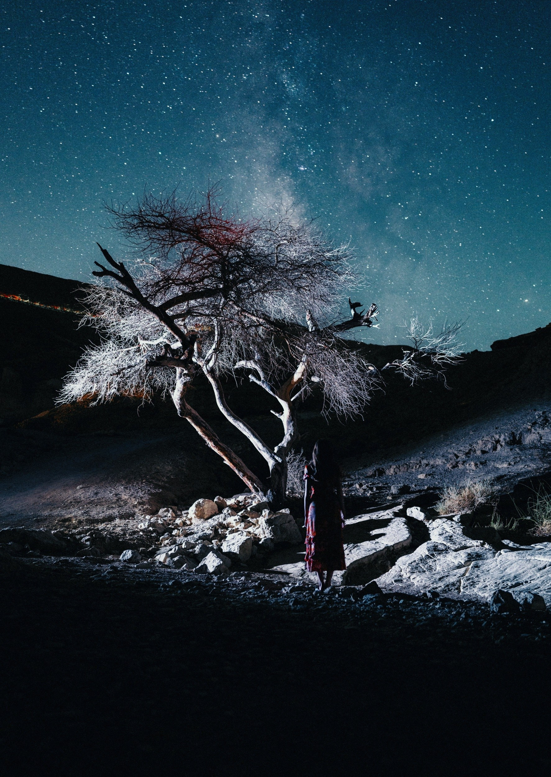 СВЕТ НОЧИ. Visual artist Daniil Kontorovich