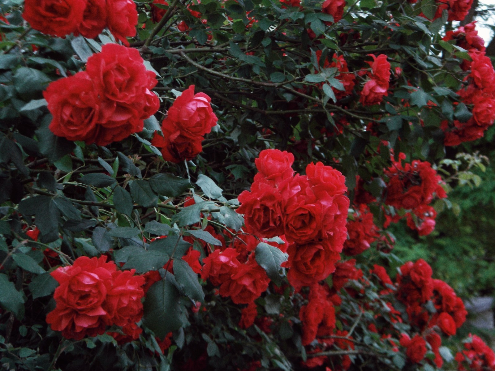 Отзывы. By Анастасия Сигута