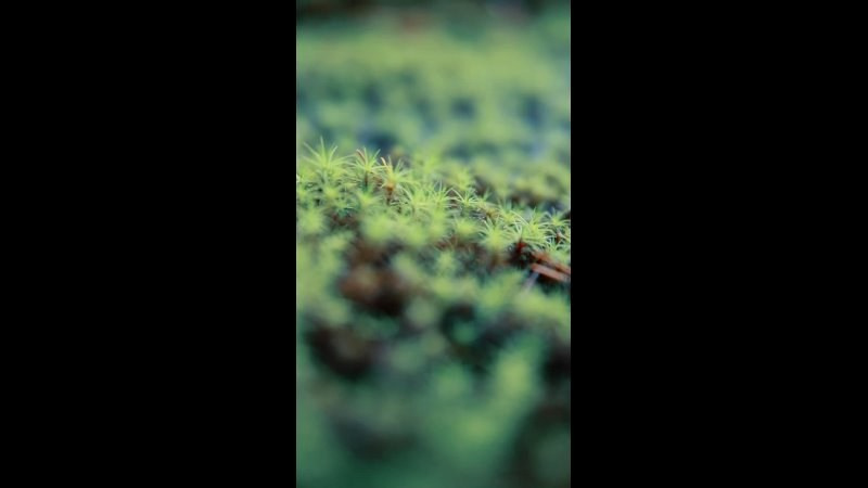 Travel. Фотограф Санкт-Петербург Макарова Дарья