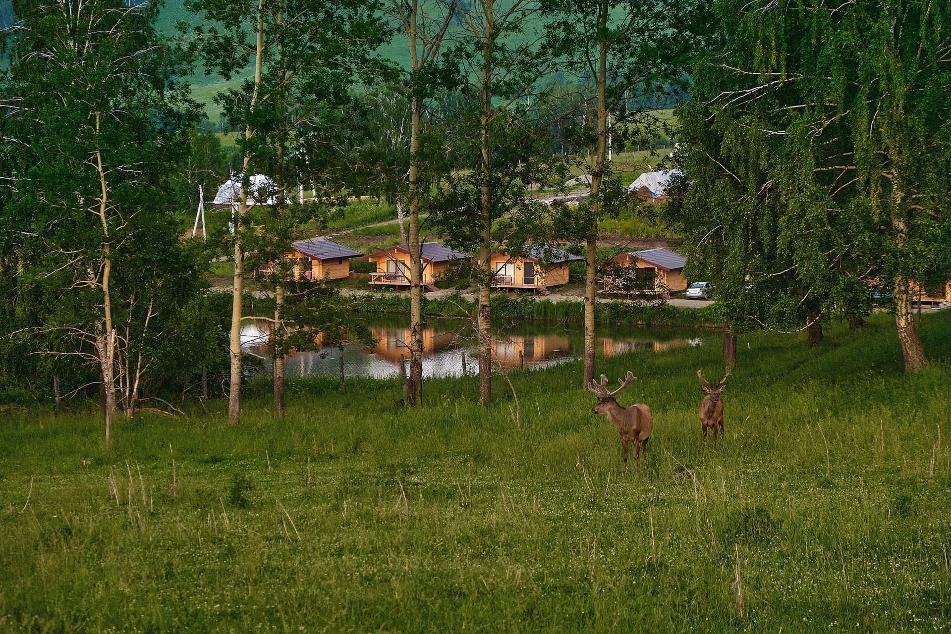Пейзажный фотограф в Горном Алтае: съёмки природы и гор. Фотограф Опыт Качество Скорость Горный Алтай Барнаул
