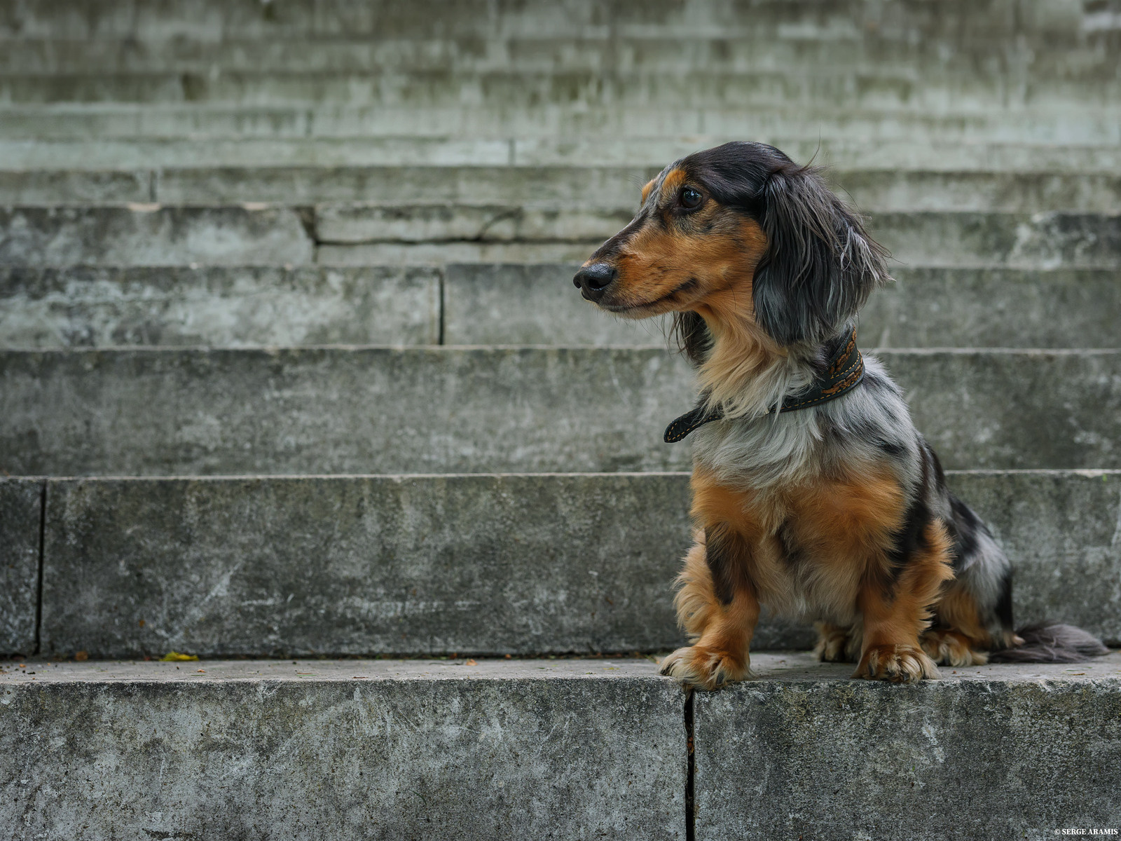 Создание чувственного портрета от Serge Aramis