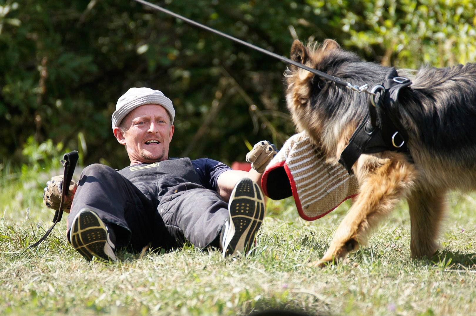 Репортажная съемка. Фотограф-анималист Нижний Новгород