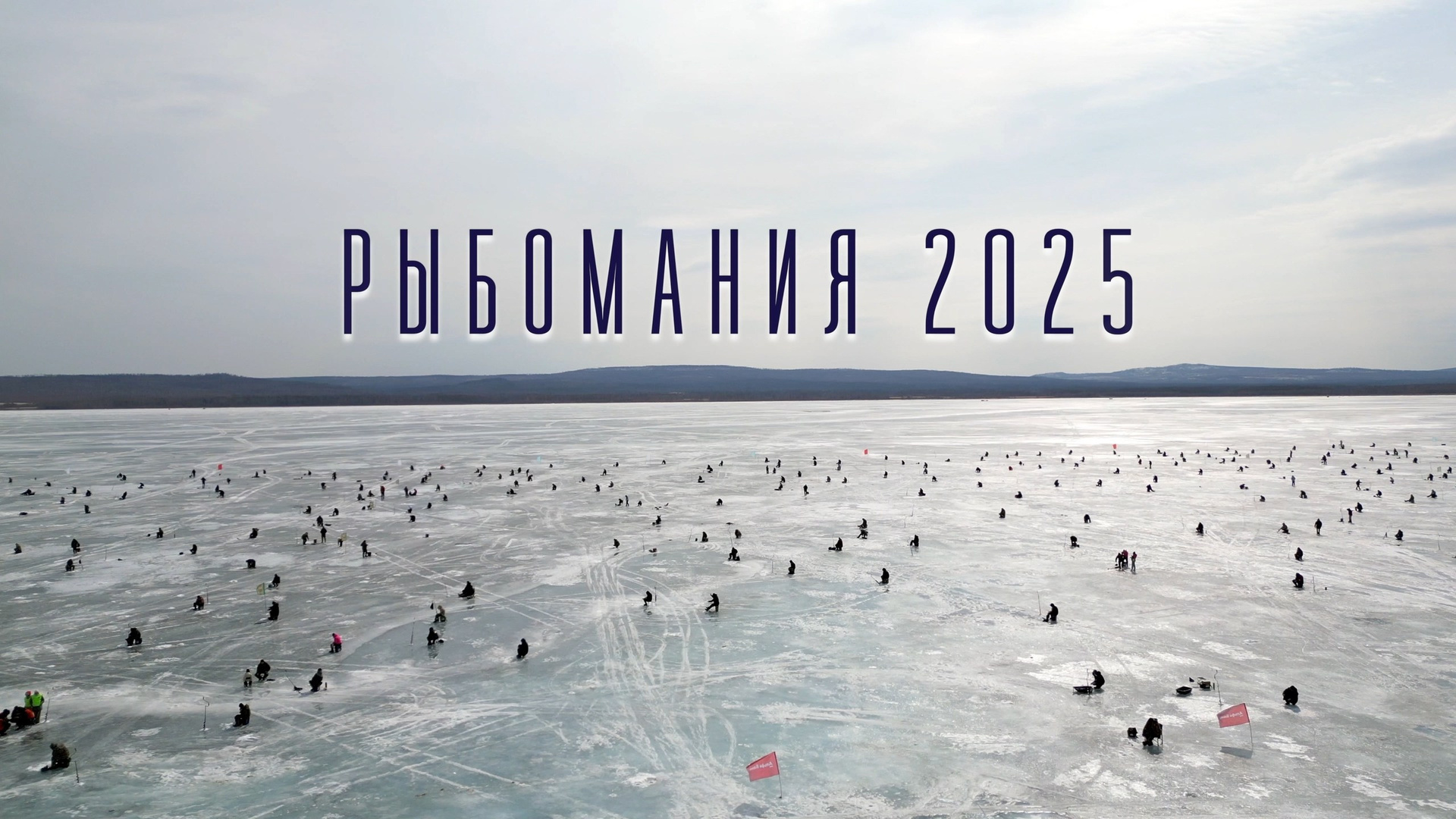 Видео репортаж. Александр Штендлер