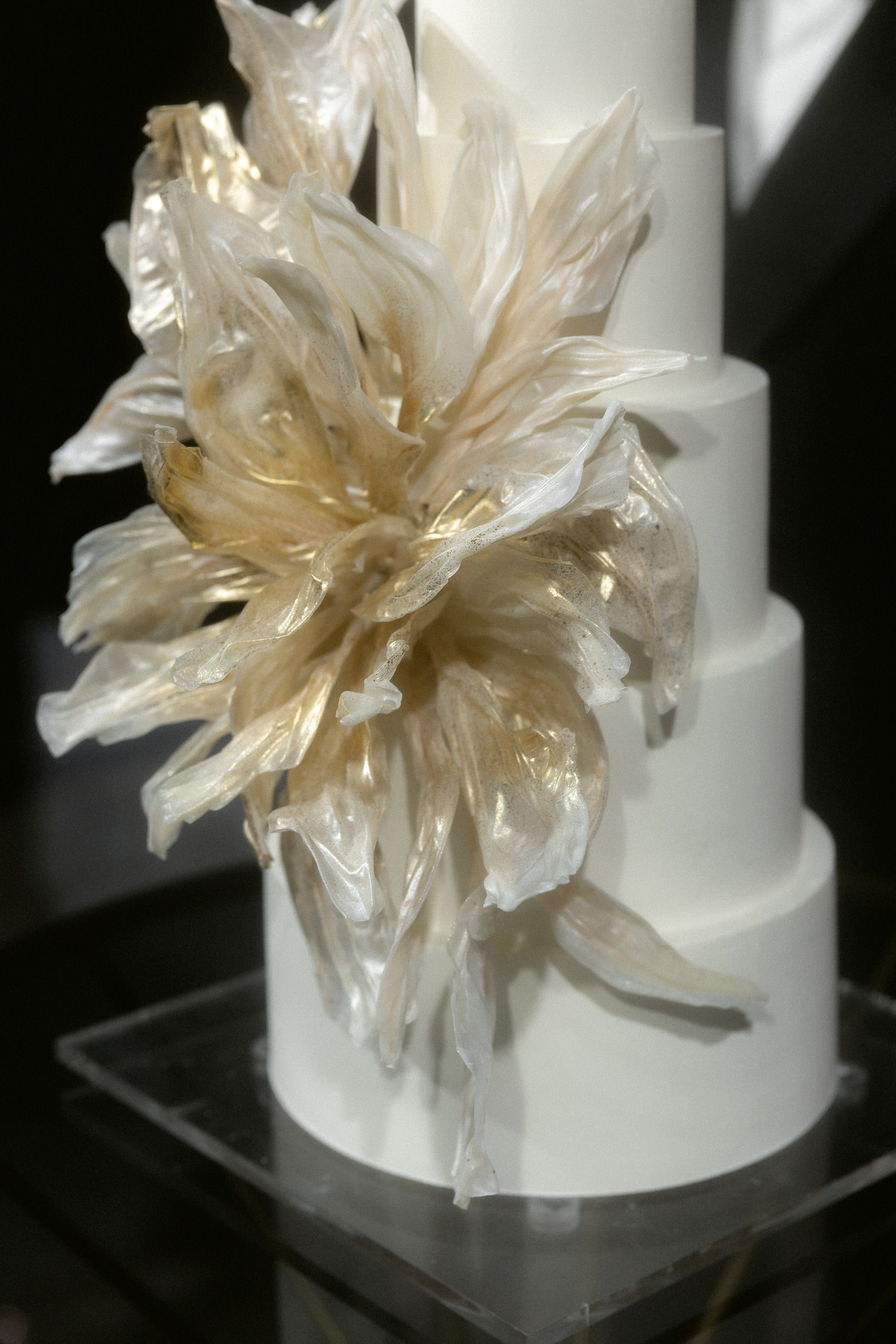 Анна & Андрей. Yura Rush Свадебный фотограф Тюмень