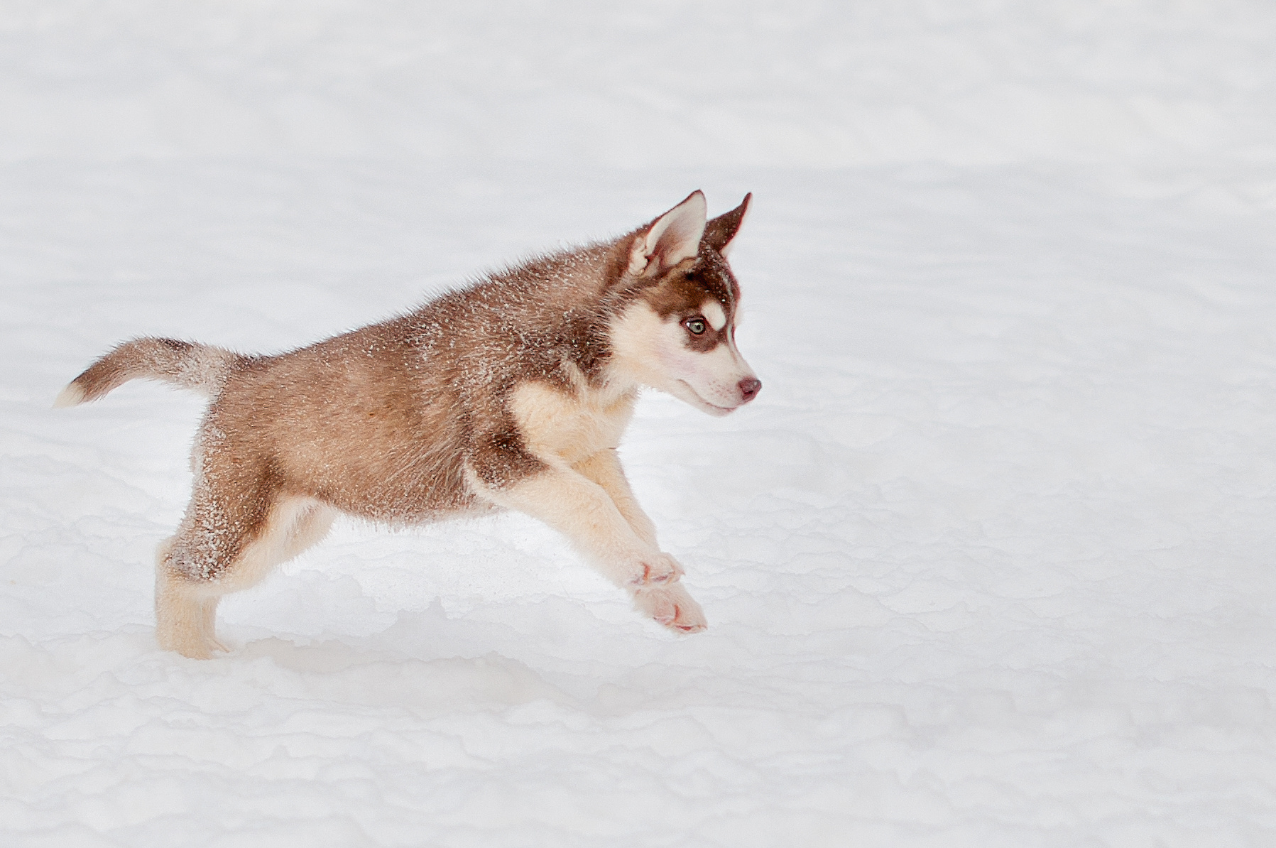 Фотограф в Королеве Людмила Потапова