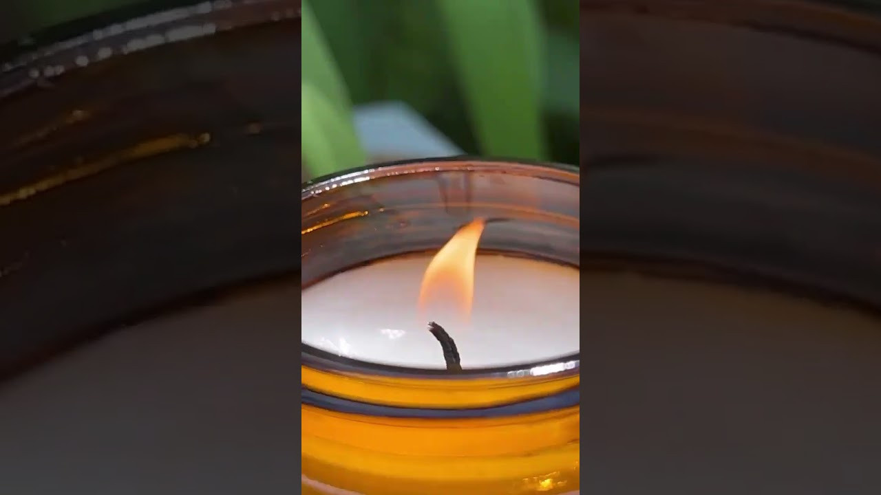 Свеча Sharme Essential «Цитронелла» от Гринвей - читать новость на сайте дистрибьютора