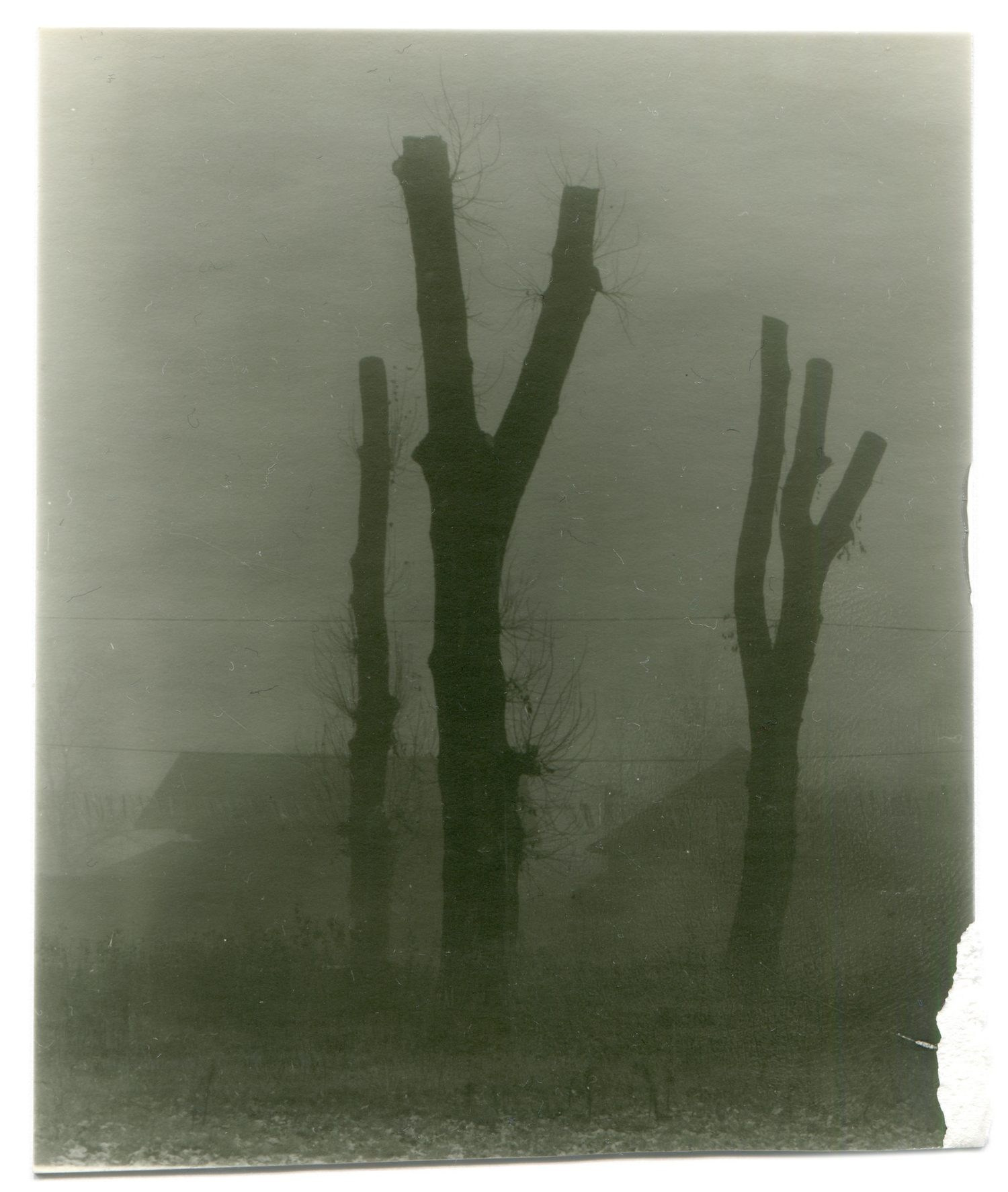 Книга Вика Бакина (Vic Bákin) «Epitome». Private image