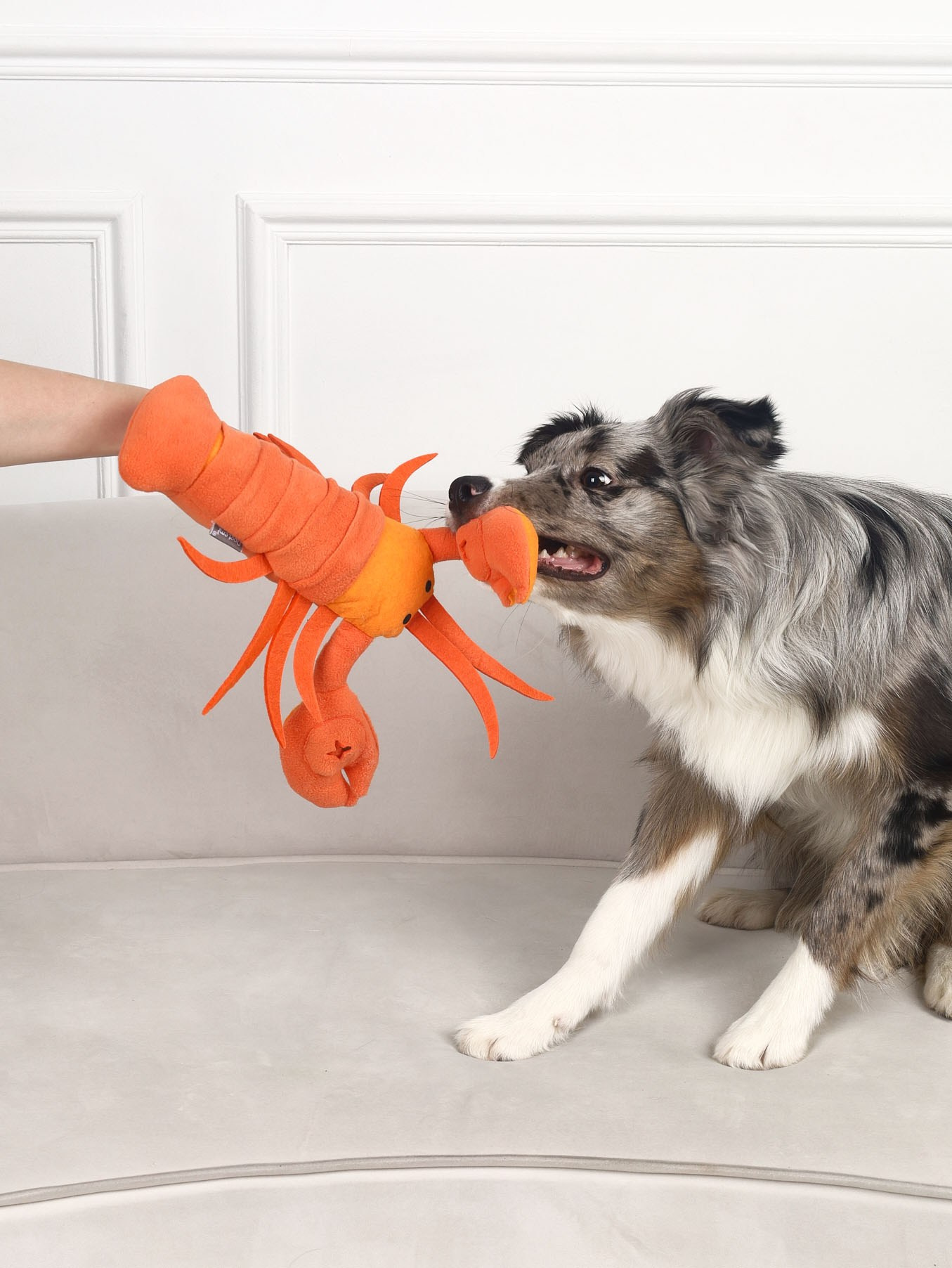 Предметная съемка для маркетплейсов. Отзывы | Sale Easy