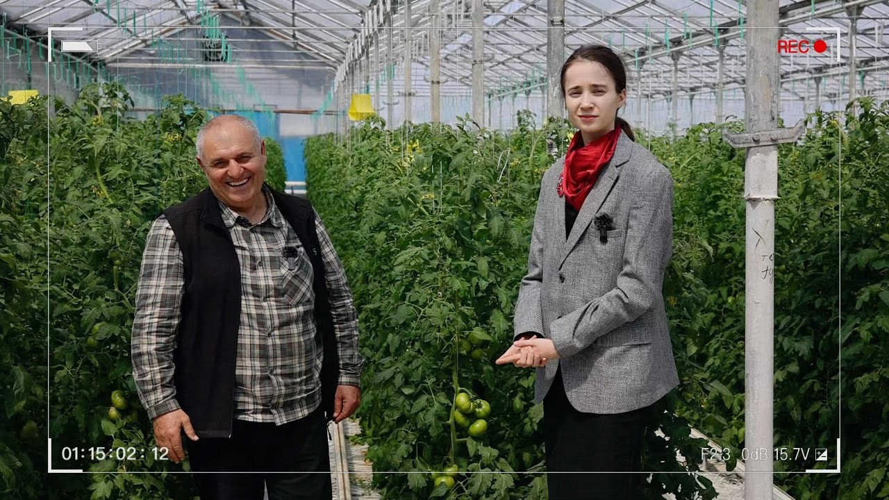 Новости от компания Биоэнергия. БИОЭНЕРГИЯ — Производство субстрата для теплиц, маты для выращивания