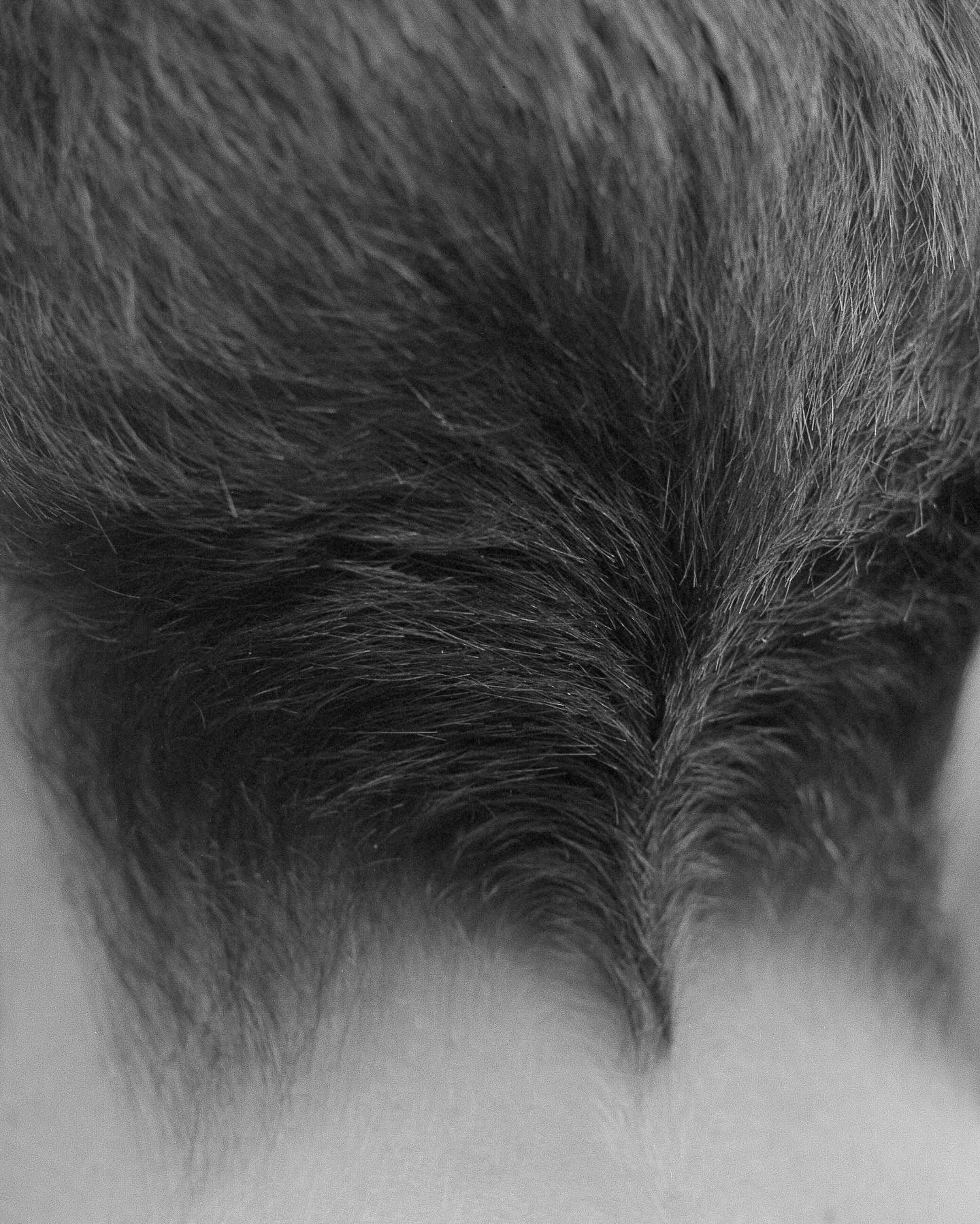 Вдохновение недели. Private image