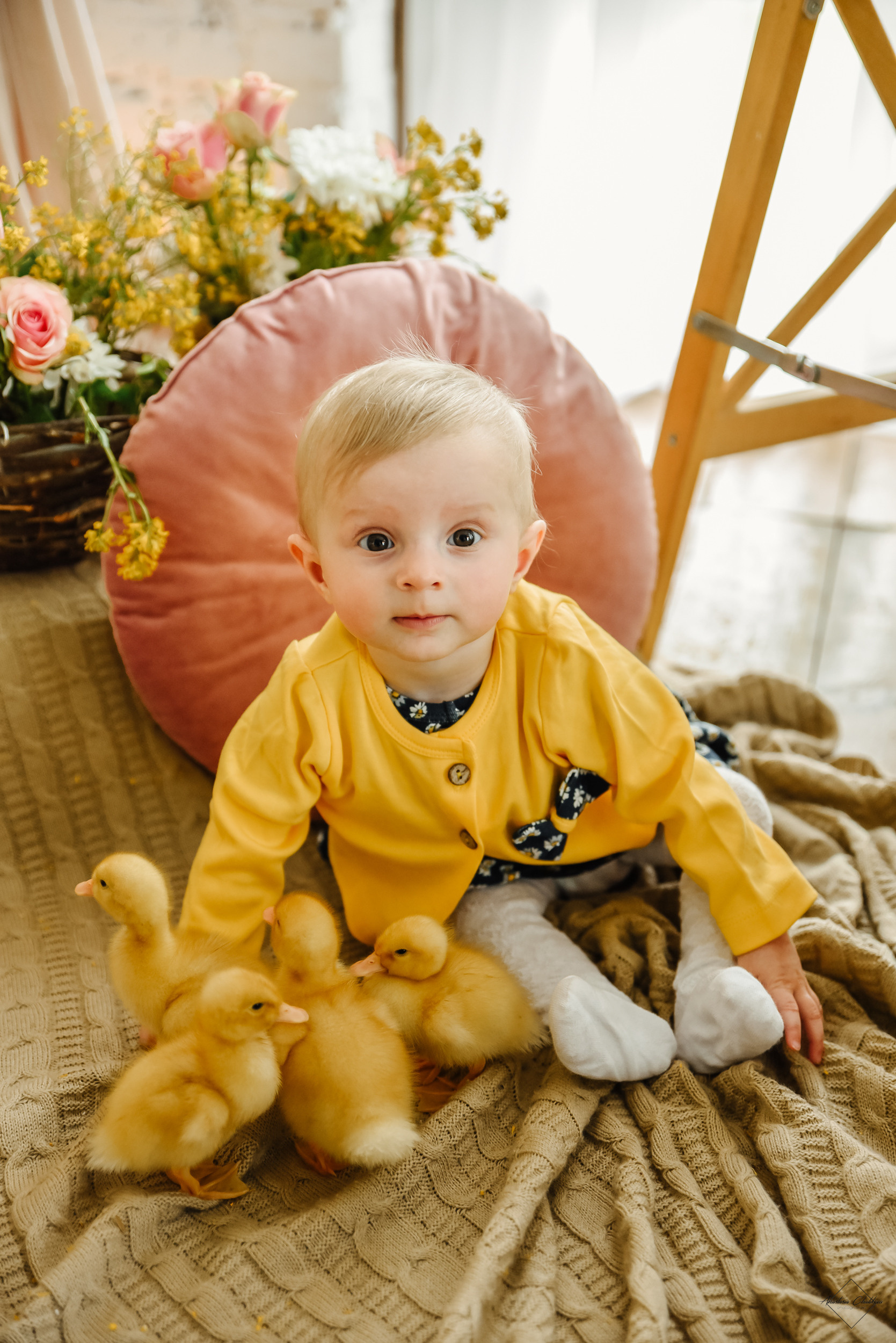 Фотодень с утятами. Свадебный и семейный фотограф в Туле Анастасия Чаликова