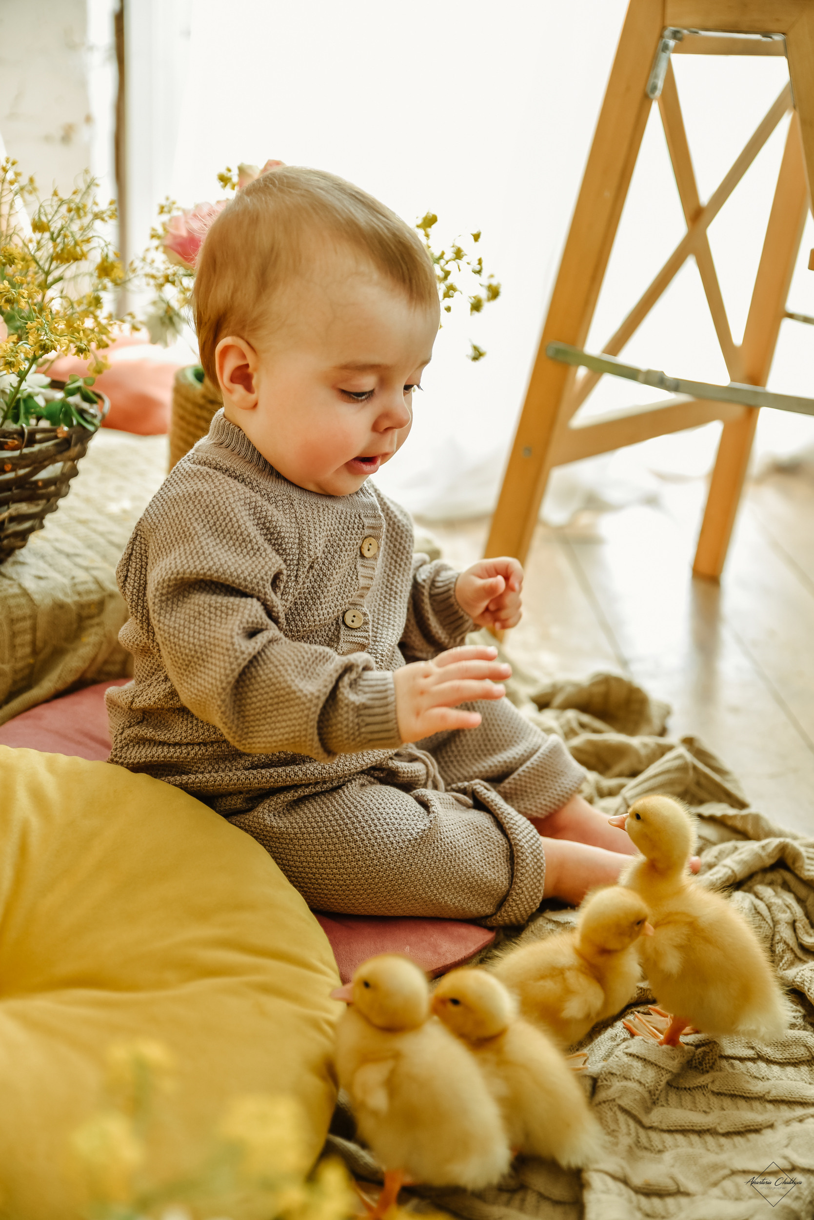 Фотодень с утятами. Свадебный и семейный фотограф в Туле Анастасия Чаликова