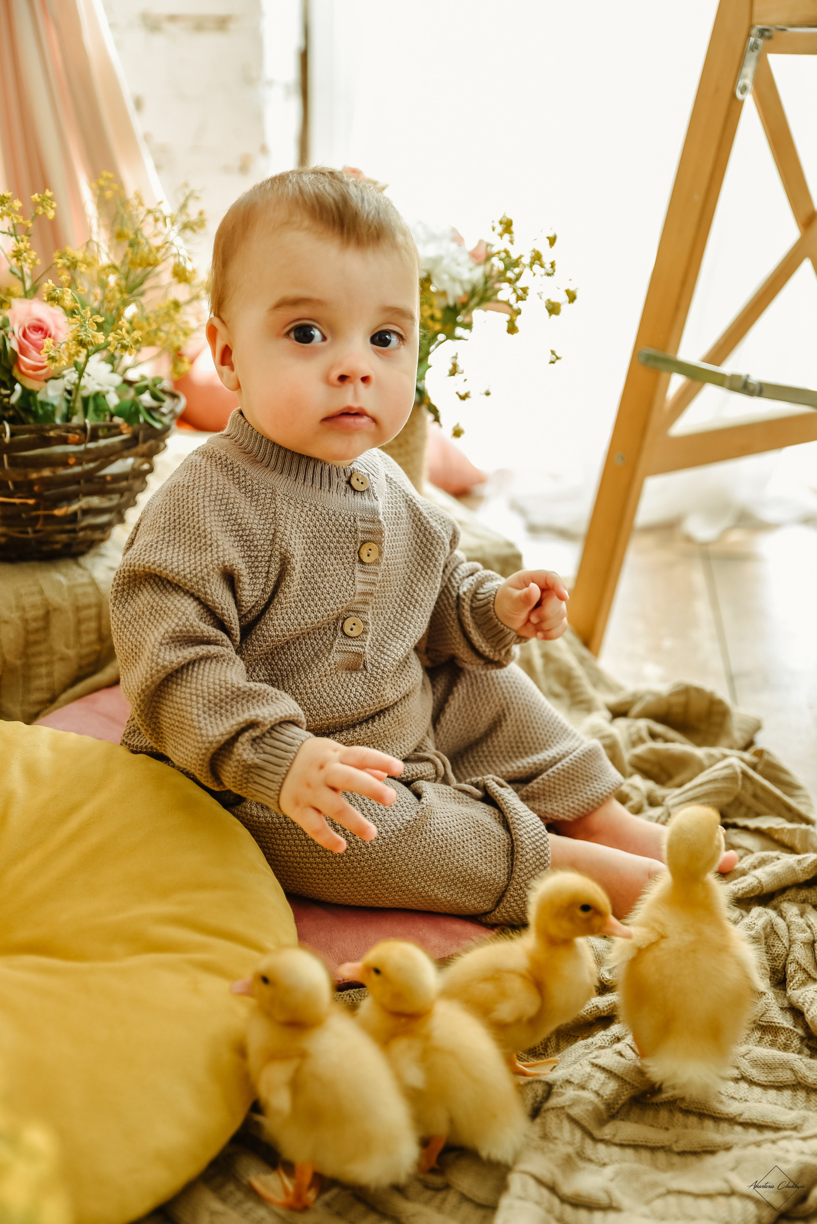 Фотодень с утятами. Свадебный и семейный фотограф в Туле Анастасия Чаликова