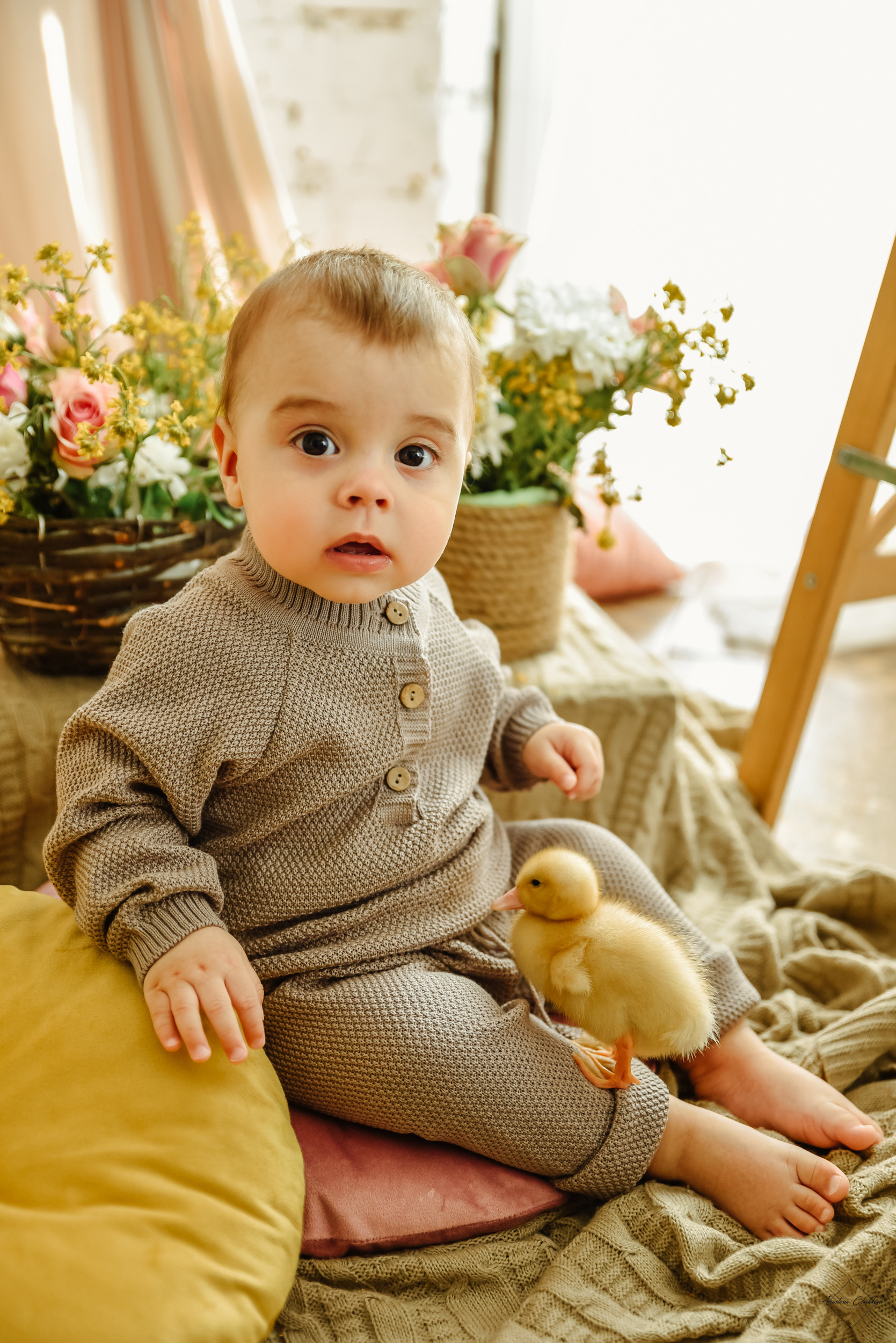 Фотодень с утятами. Свадебный и семейный фотограф в Туле Анастасия Чаликова