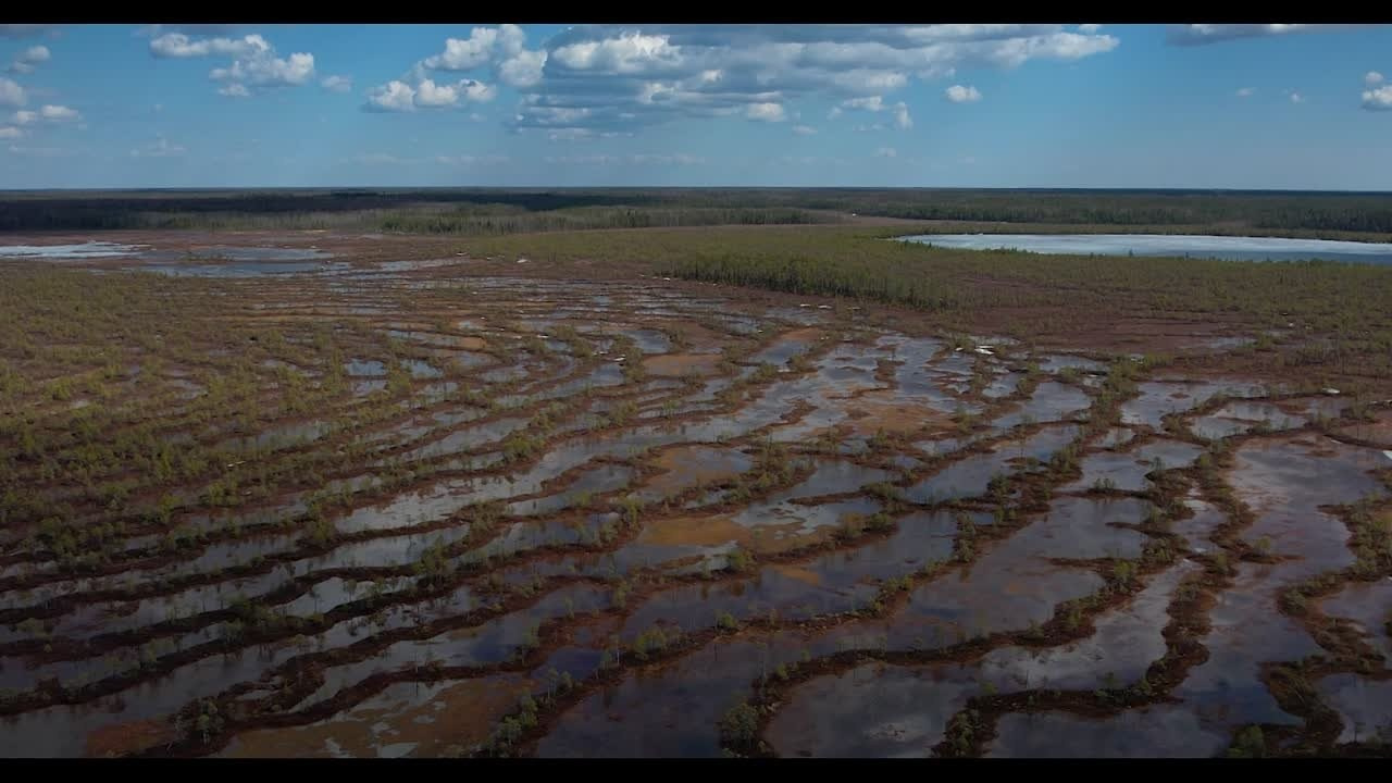 Видео. Фотограф Татьяна Борисова