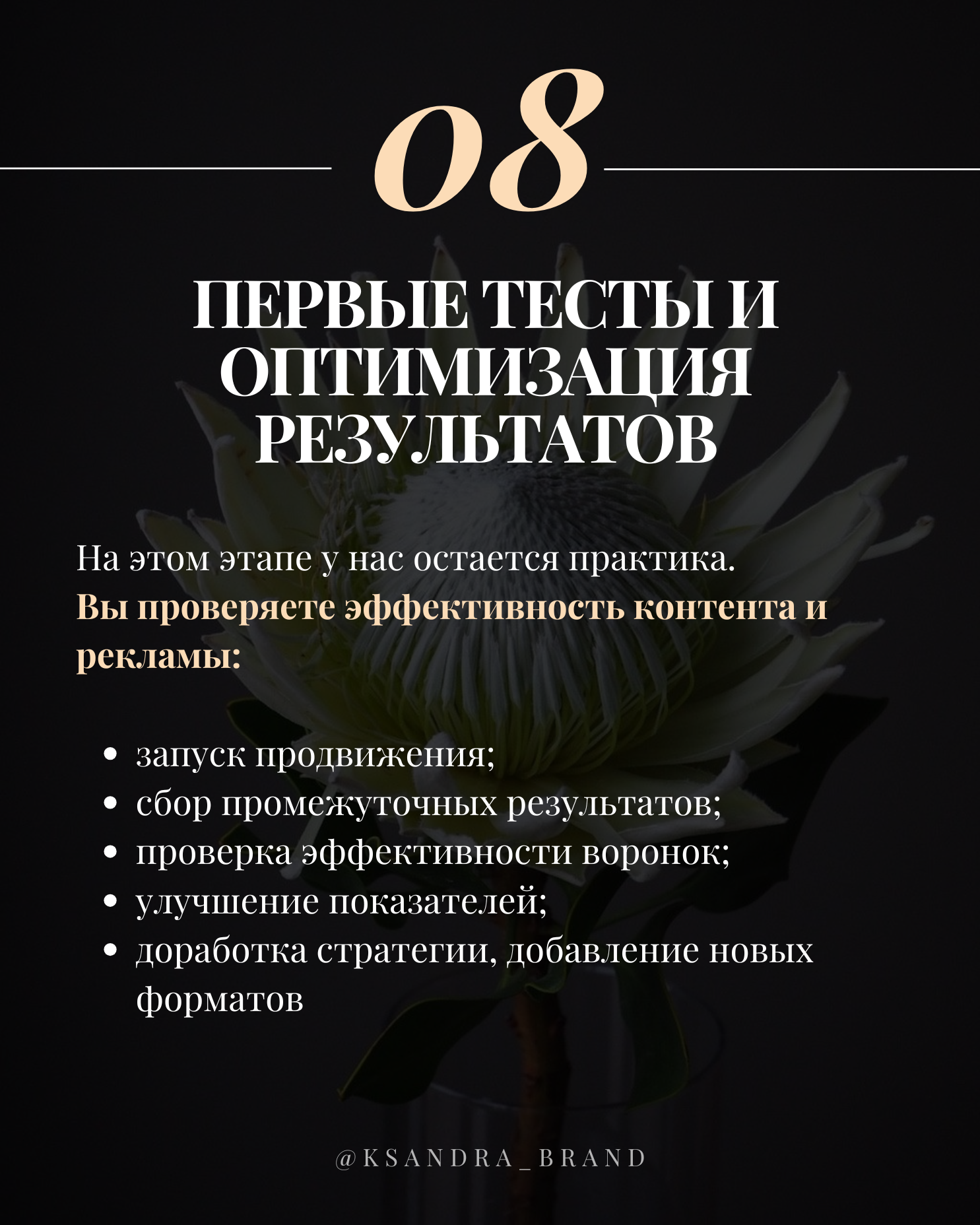 Практическое руководство: «Создание стратегии продвижения в соцсетях на 2025 год