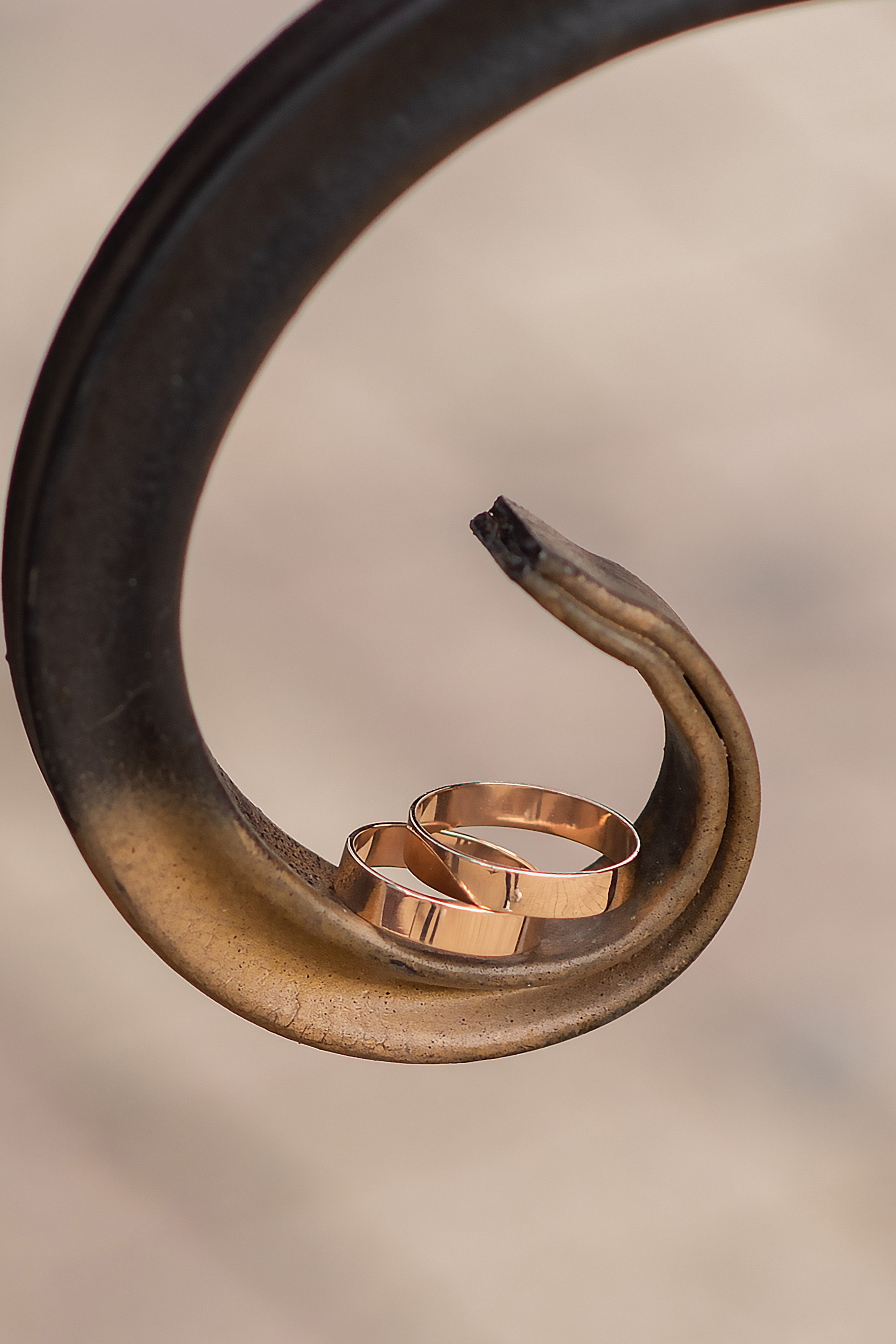 Свадебный и семейный фотограф в Ставрополе Евгения Кузьмичева