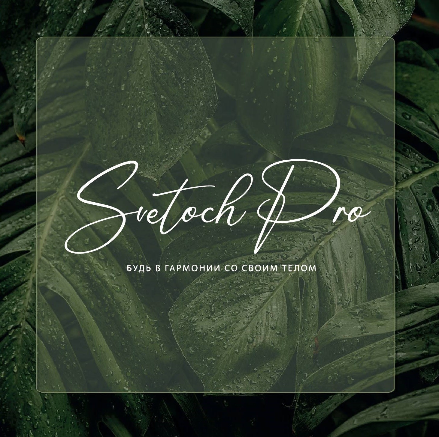 МАССАЖ SPA программы для лица и тела