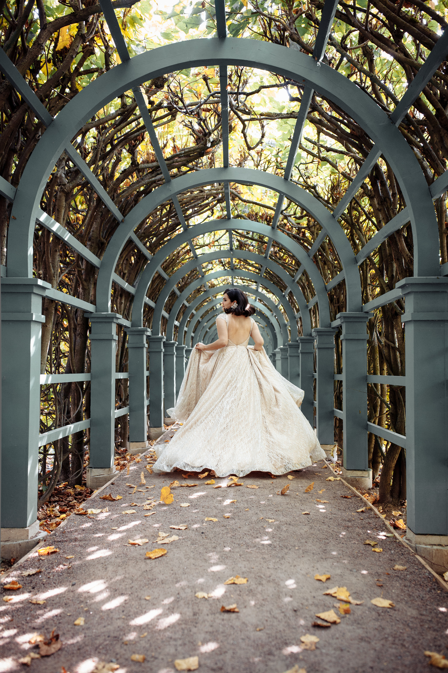 Последний лепесток