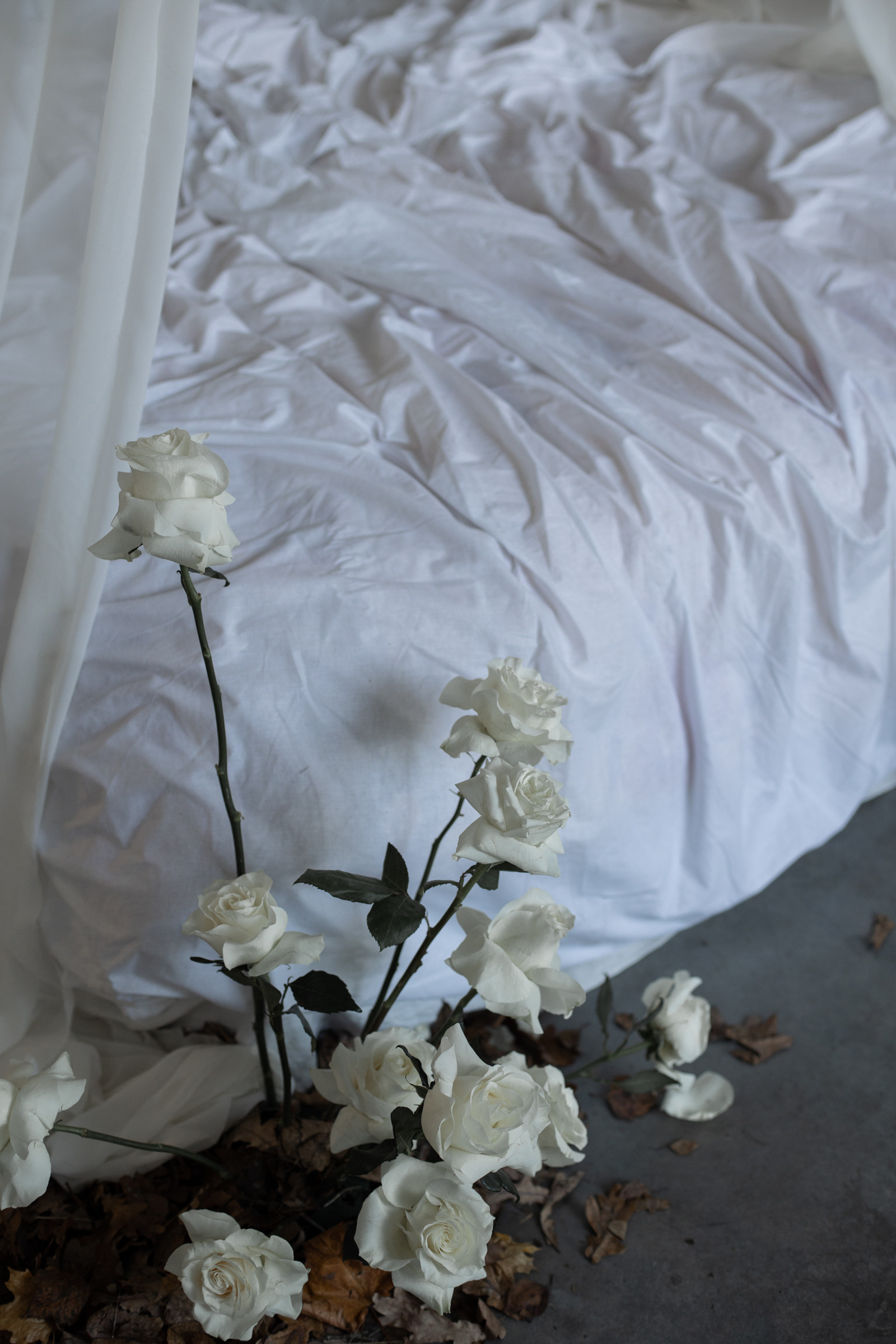 Настя и Кирилл. Свадебный и портретный фотограф в Минске и по всему миру Ольга Нестер