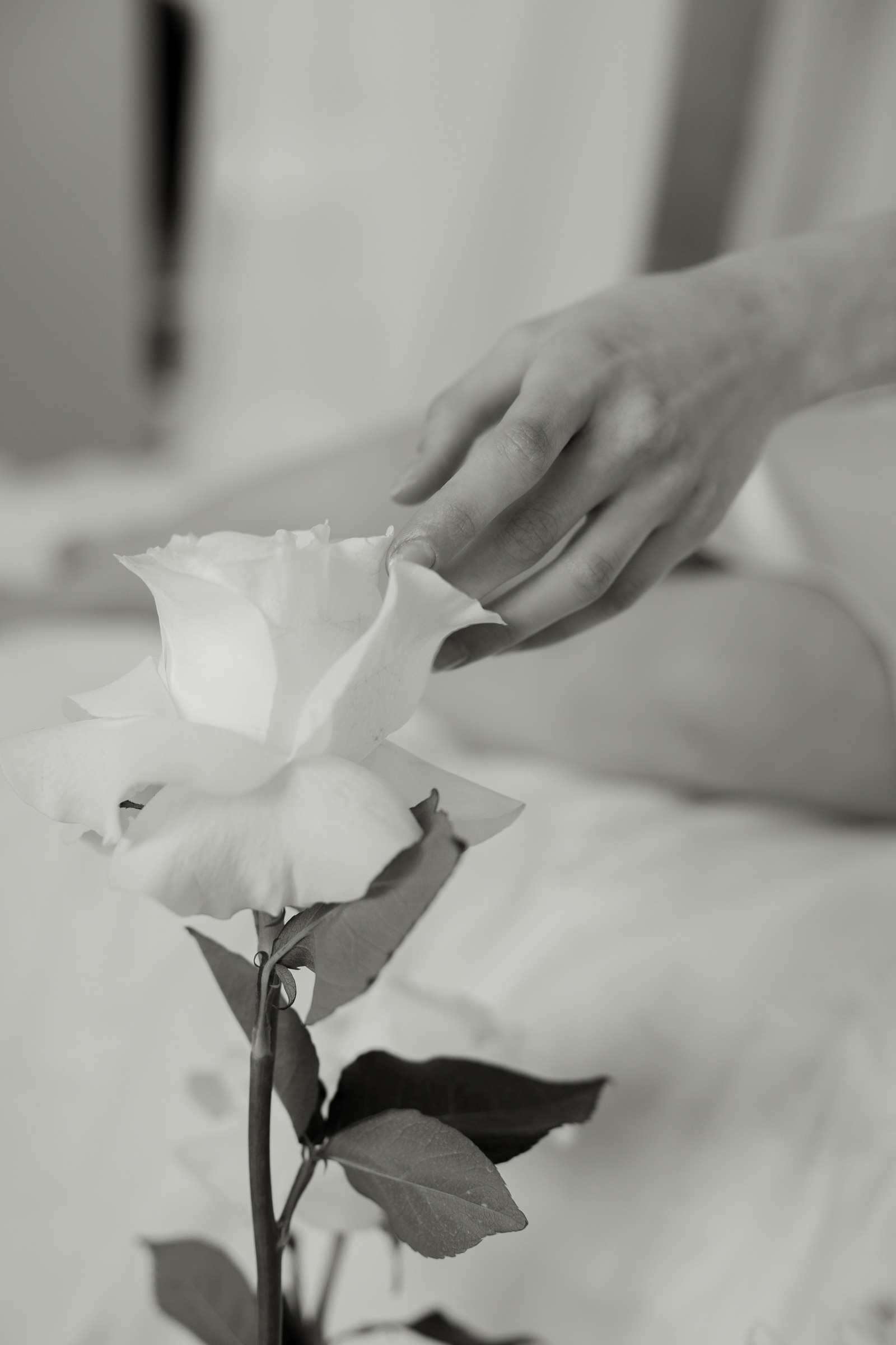 Настя и Кирилл. Свадебный и портретный фотограф в Минске и по всему миру Ольга Нестер