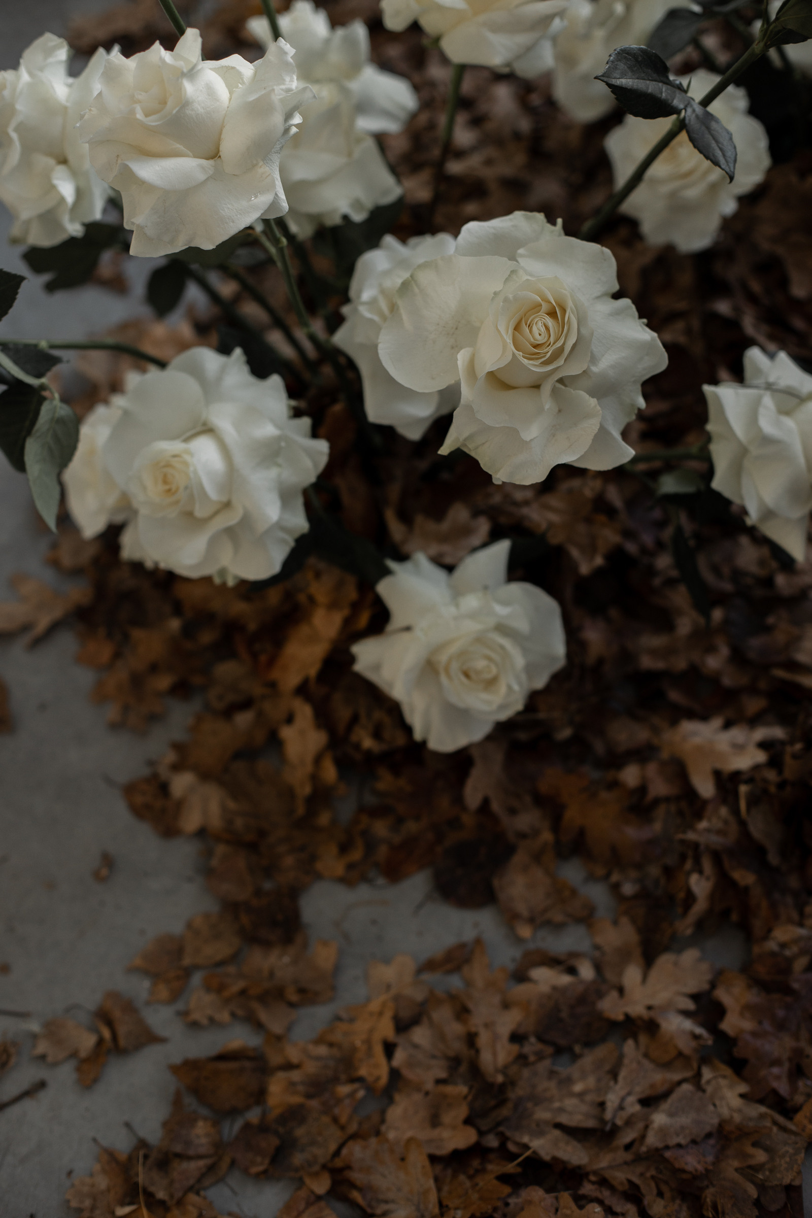 Настя и Кирилл. Свадебный и портретный фотограф в Минске и по всему миру Ольга Нестер