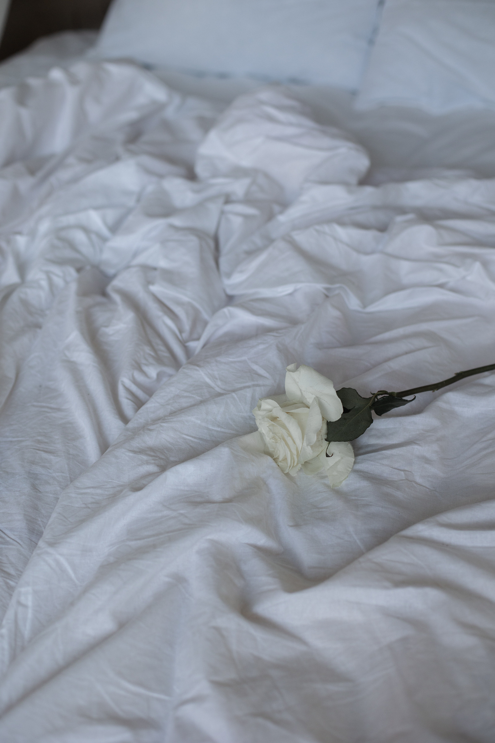 Настя и Кирилл. Свадебный и портретный фотограф в Минске и по всему миру Ольга Нестер