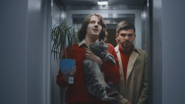 КЕЙСЫ. Режиссёр Алексей Логинов