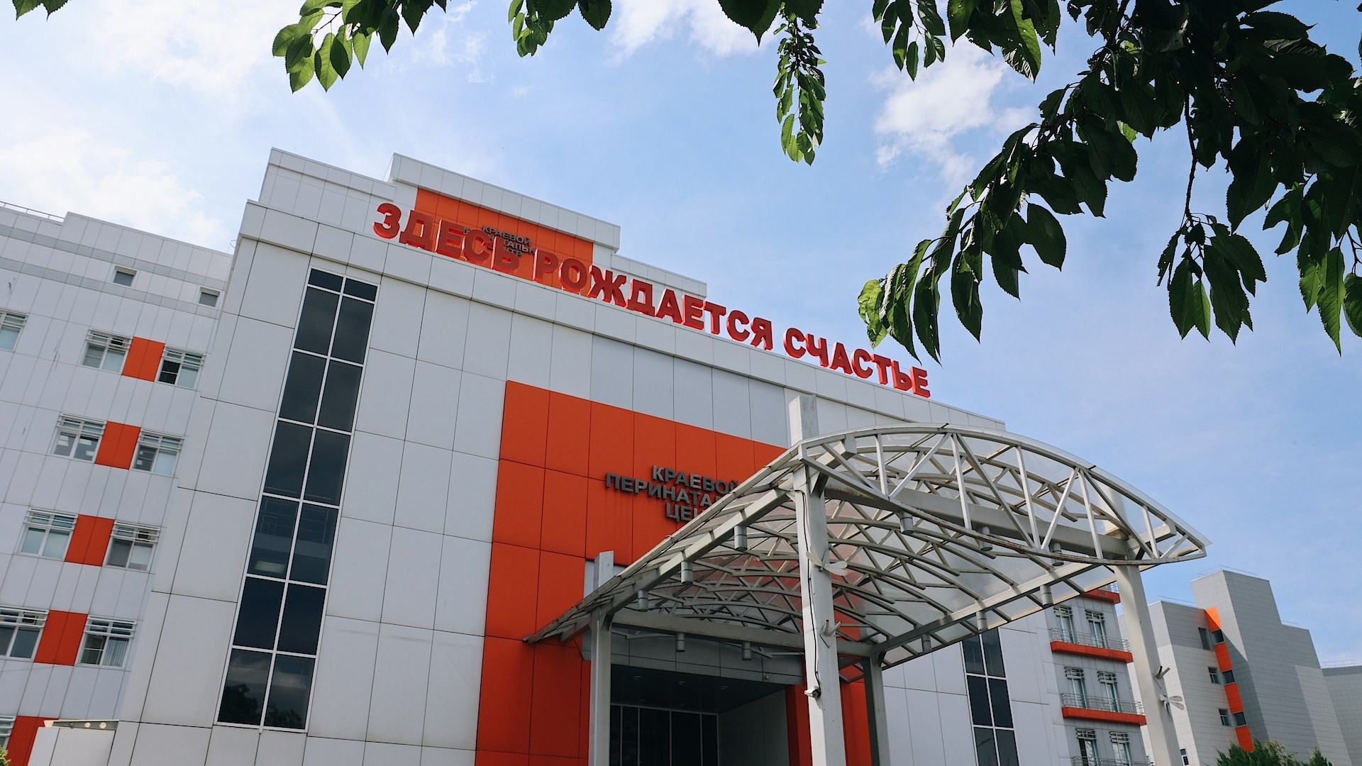 Выписка. Видеосъёмка праздников в Краснодаре