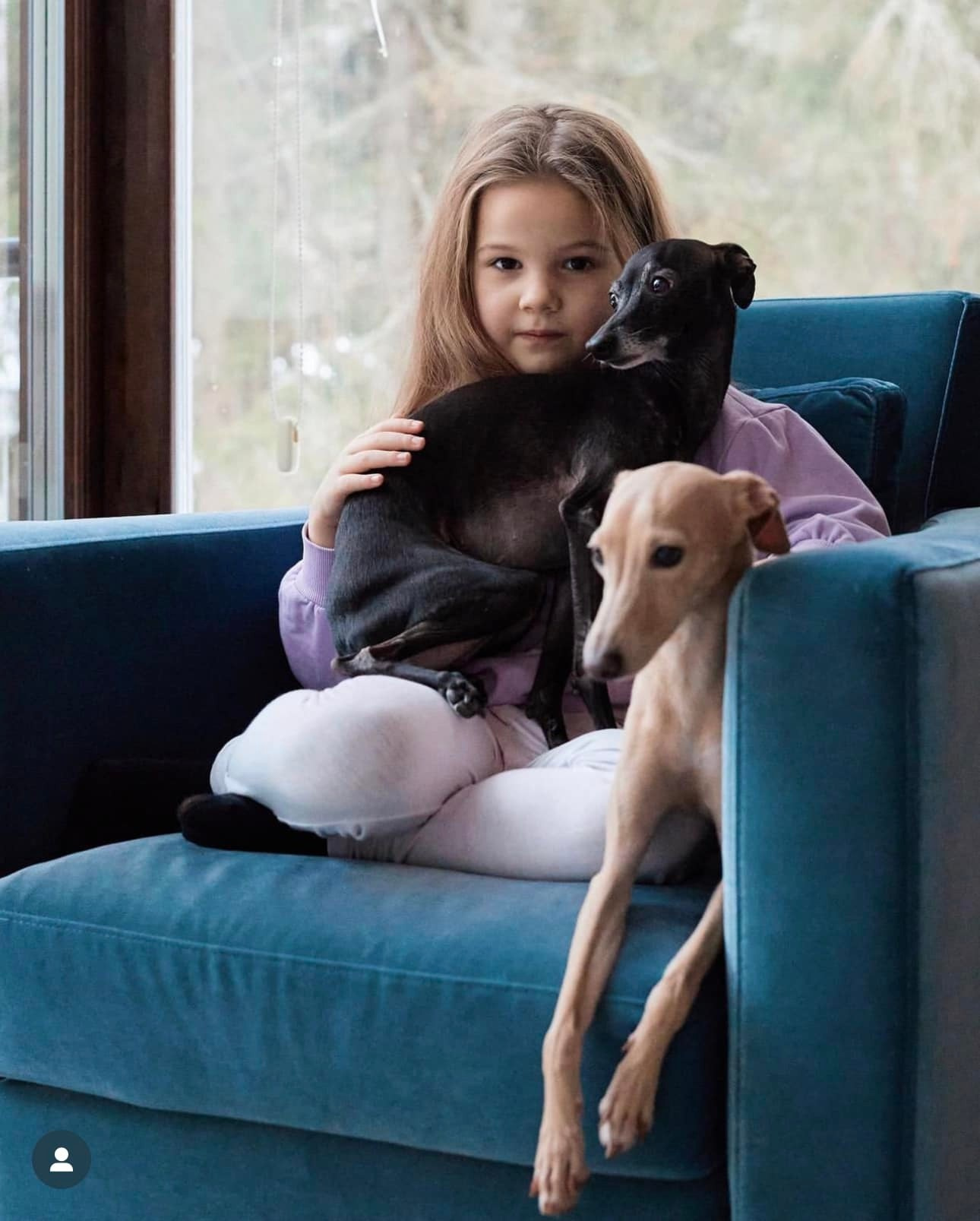 Профессиональный питомник левреток РКФ/FCI ASTI SAPPHIRE 💎 Сочи|Санкт-Петербург