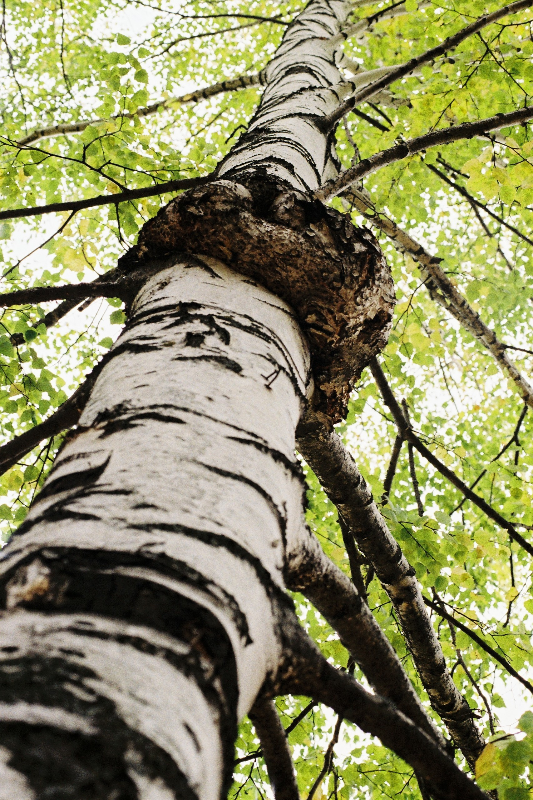 Отзывы. Фотограф Ижевск Русских Андрей
