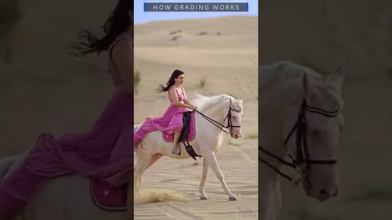 Стоимость видеосъёмки и монтажа. Mrs.Aquarelia Конный фотограф Марианна Леонтьева