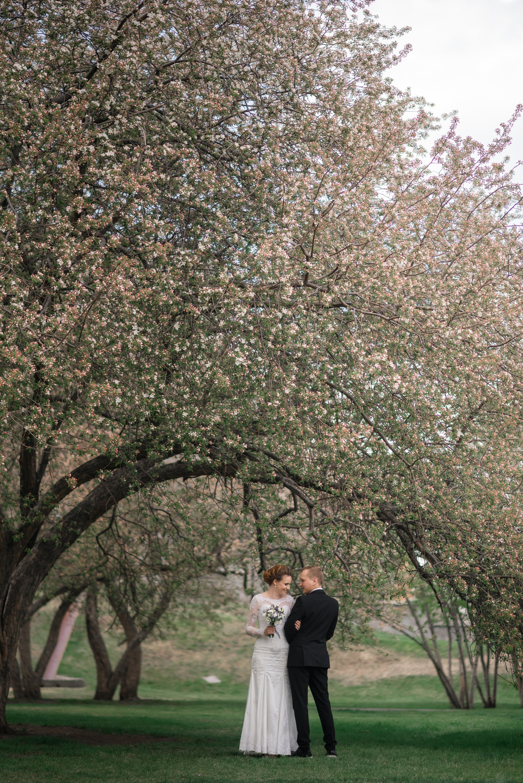 Сергей Богомолов. Свадебный и семейный фотограф