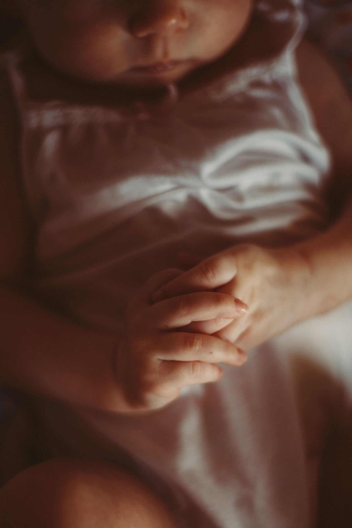 Место для съемки. Милана Довгаль - семейный фотограф и видеограф  в Адлере и Сочи